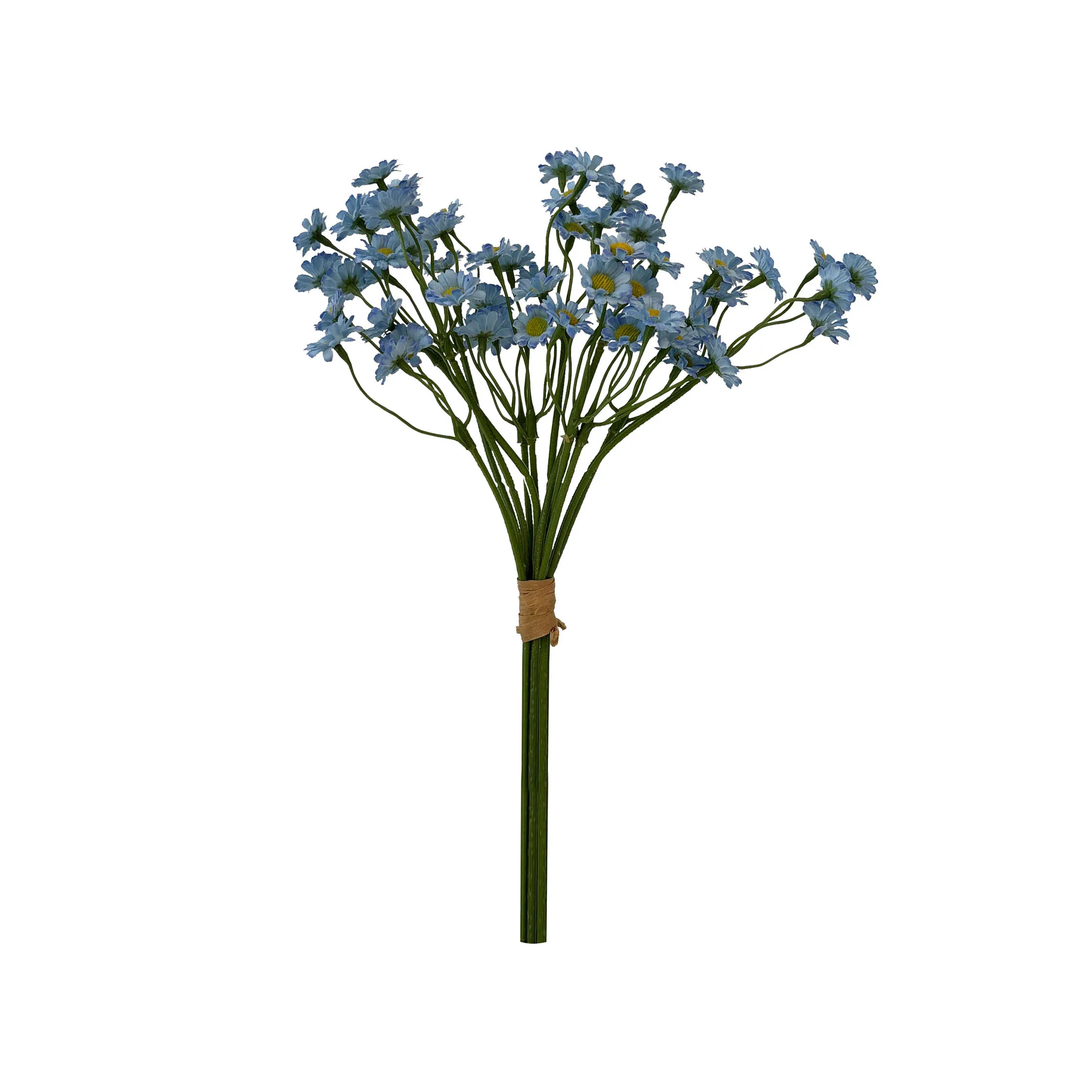 Take a fasciculum chamamile