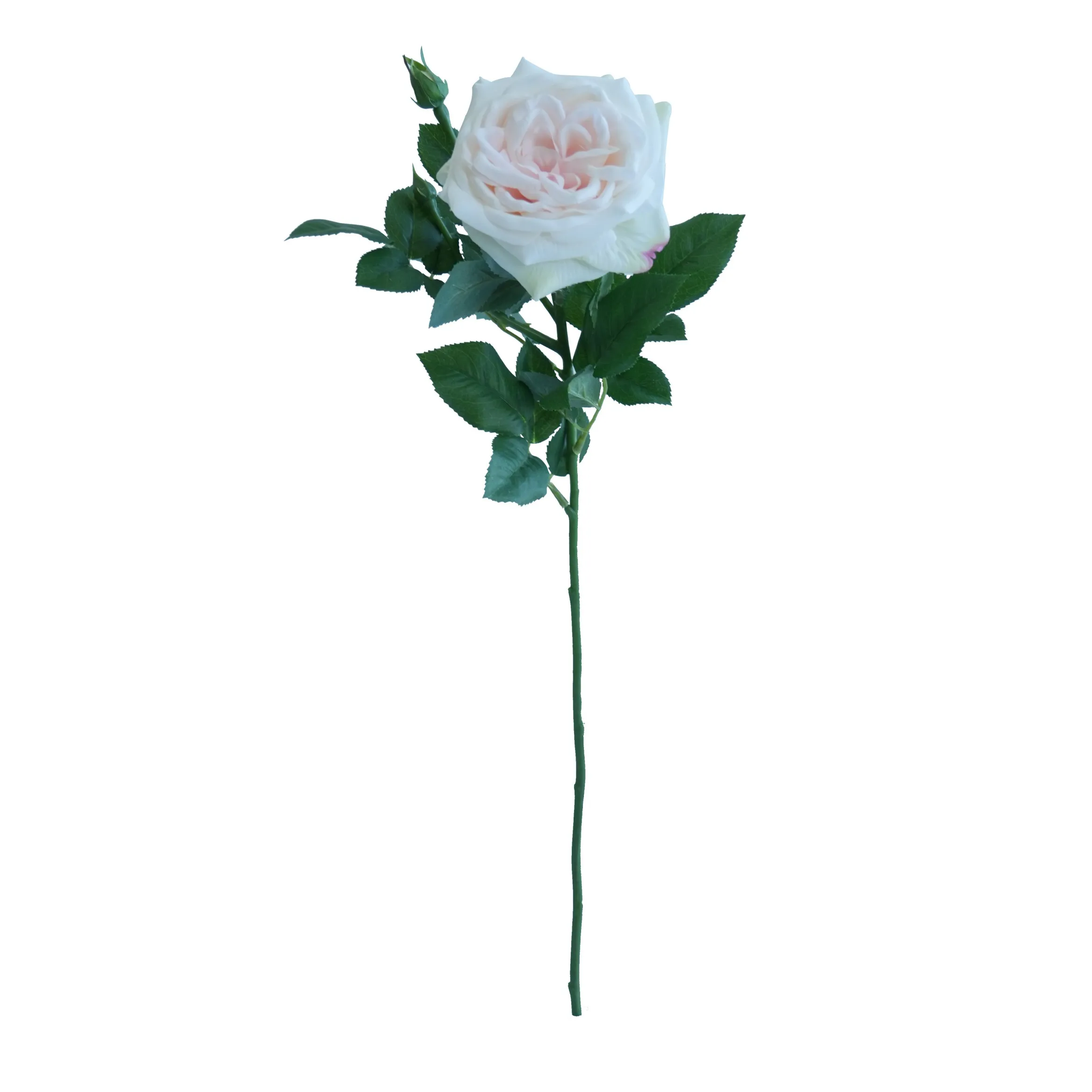 Una Lychee Rose