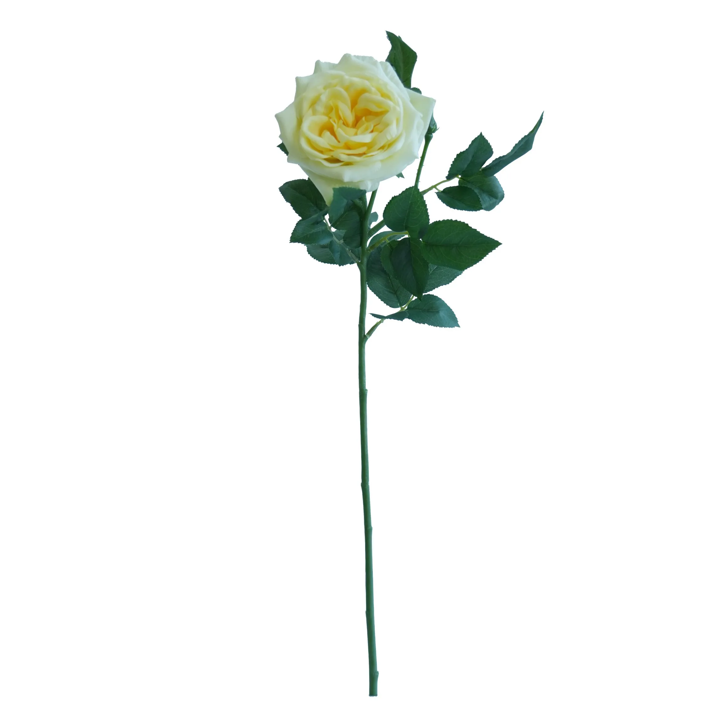 Una Lychee Rose