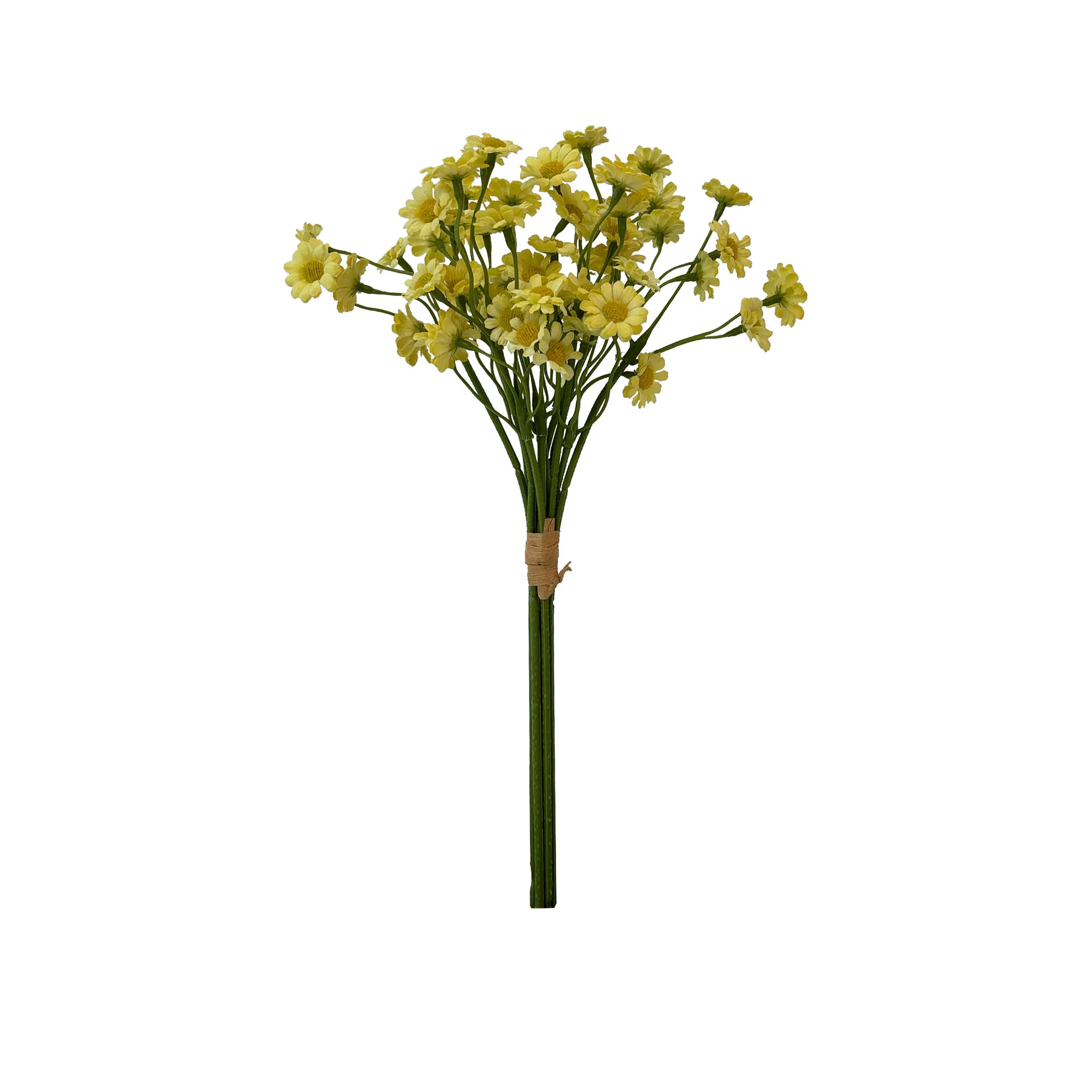 Take a fasciculum chamamile