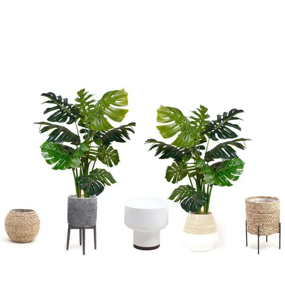 Suspendisse artificialis monstera potted plant XLV