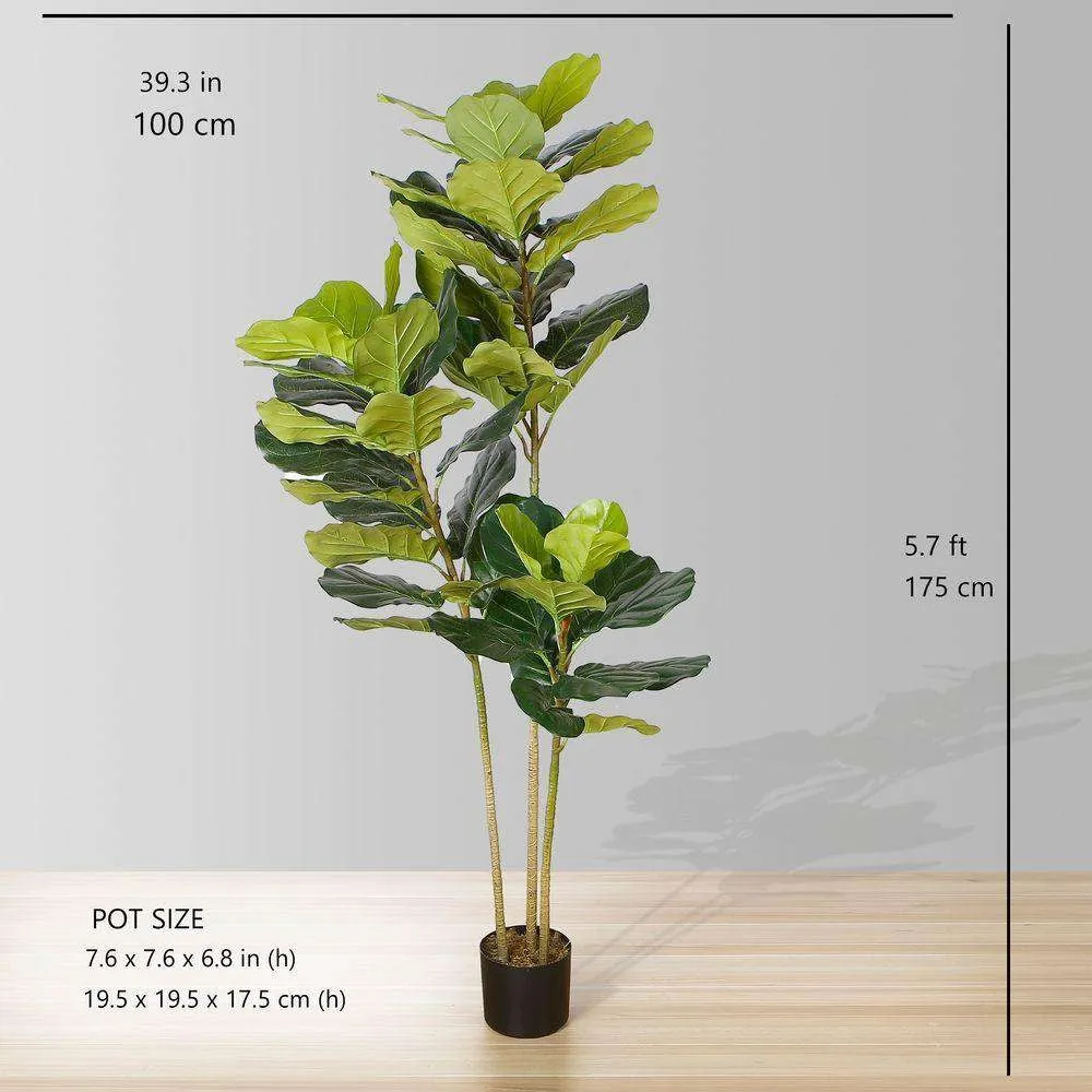 Lyrata artificialis fiddle folium potted plant (multa magnitudinum)
