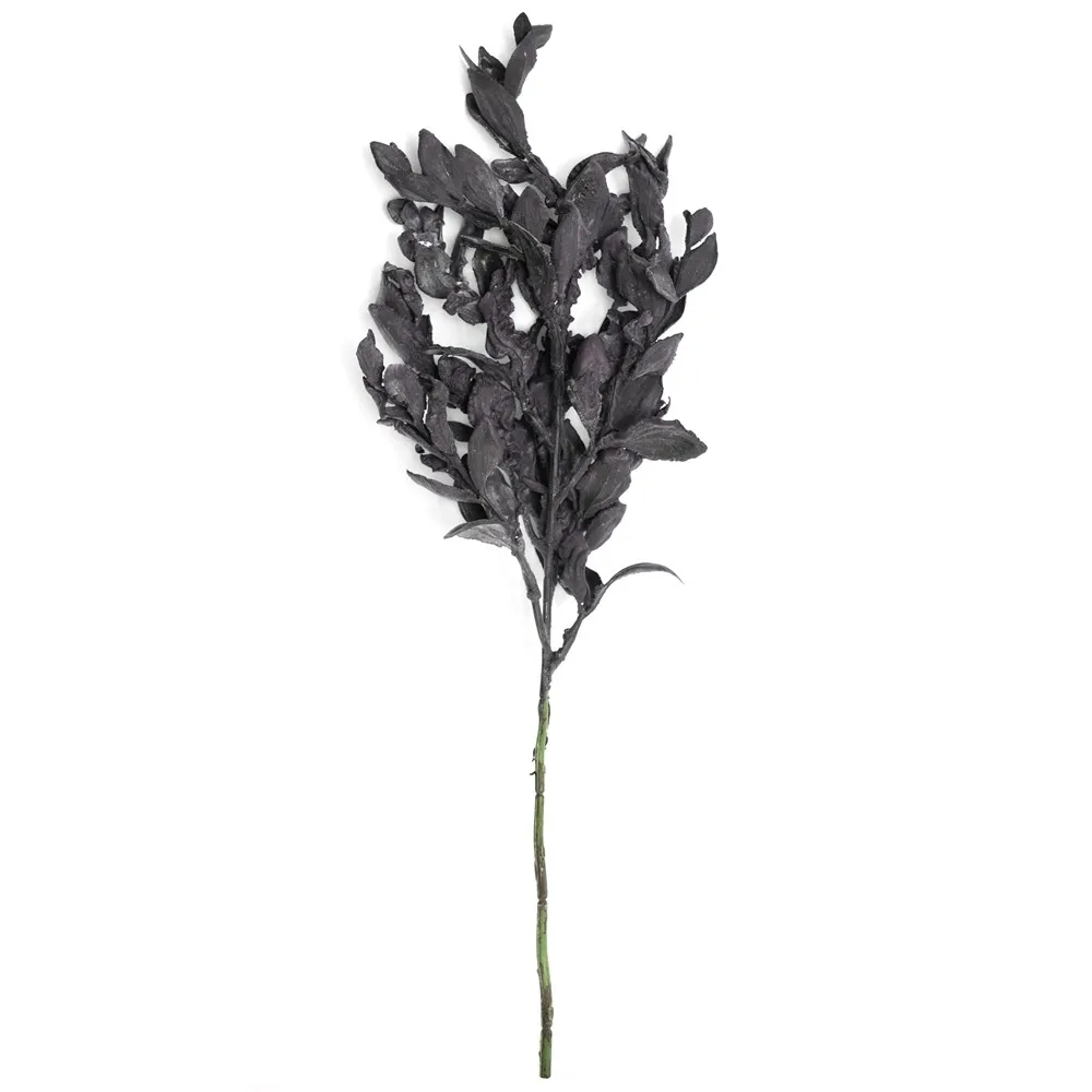 Short-ramosis yuanbao folium