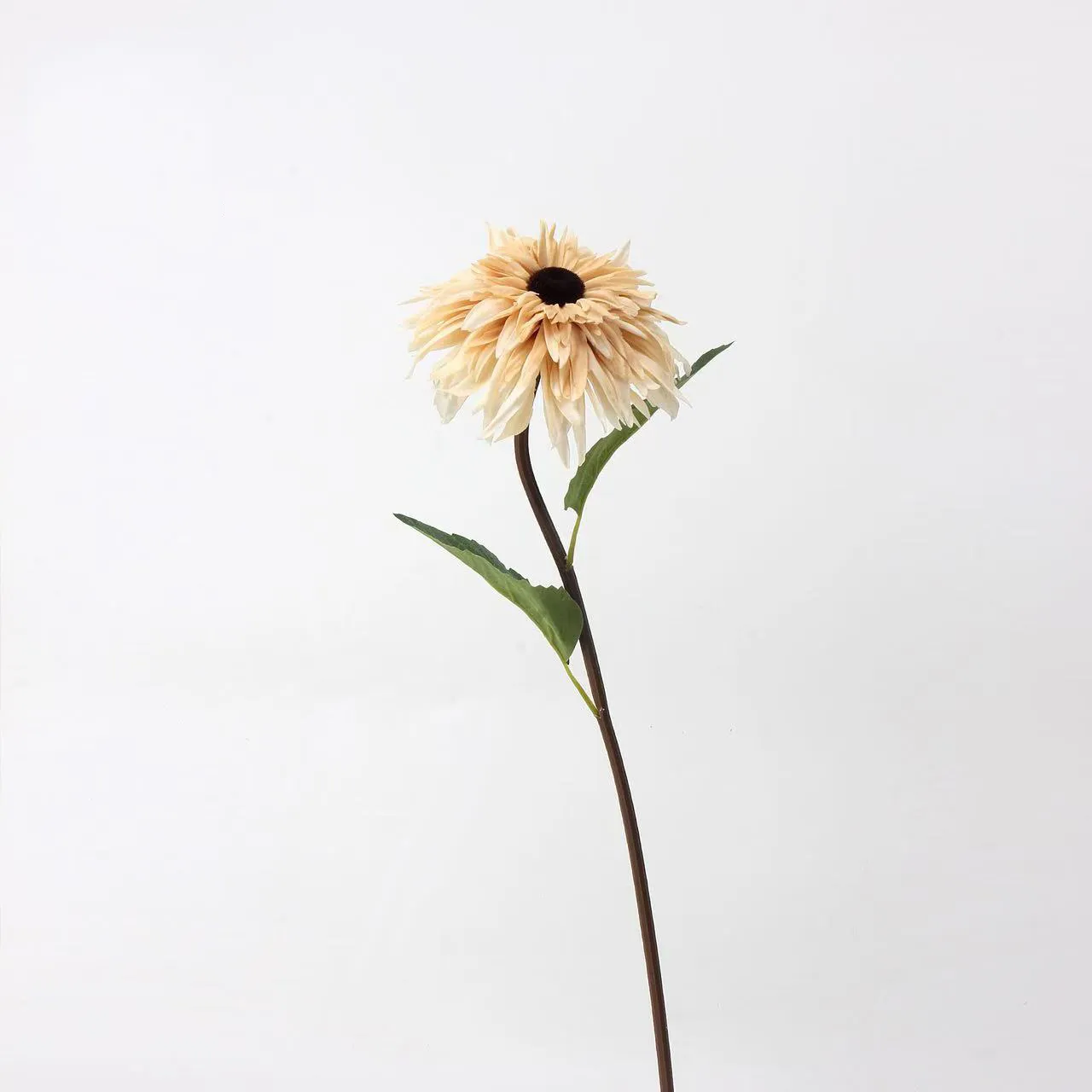 Oleum pictura Sunflowers