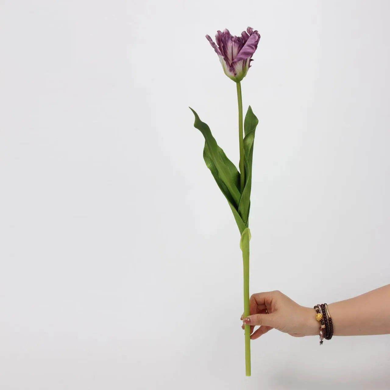 Monet Tulipaaaaaaaaaaaaaaaaaaaaa