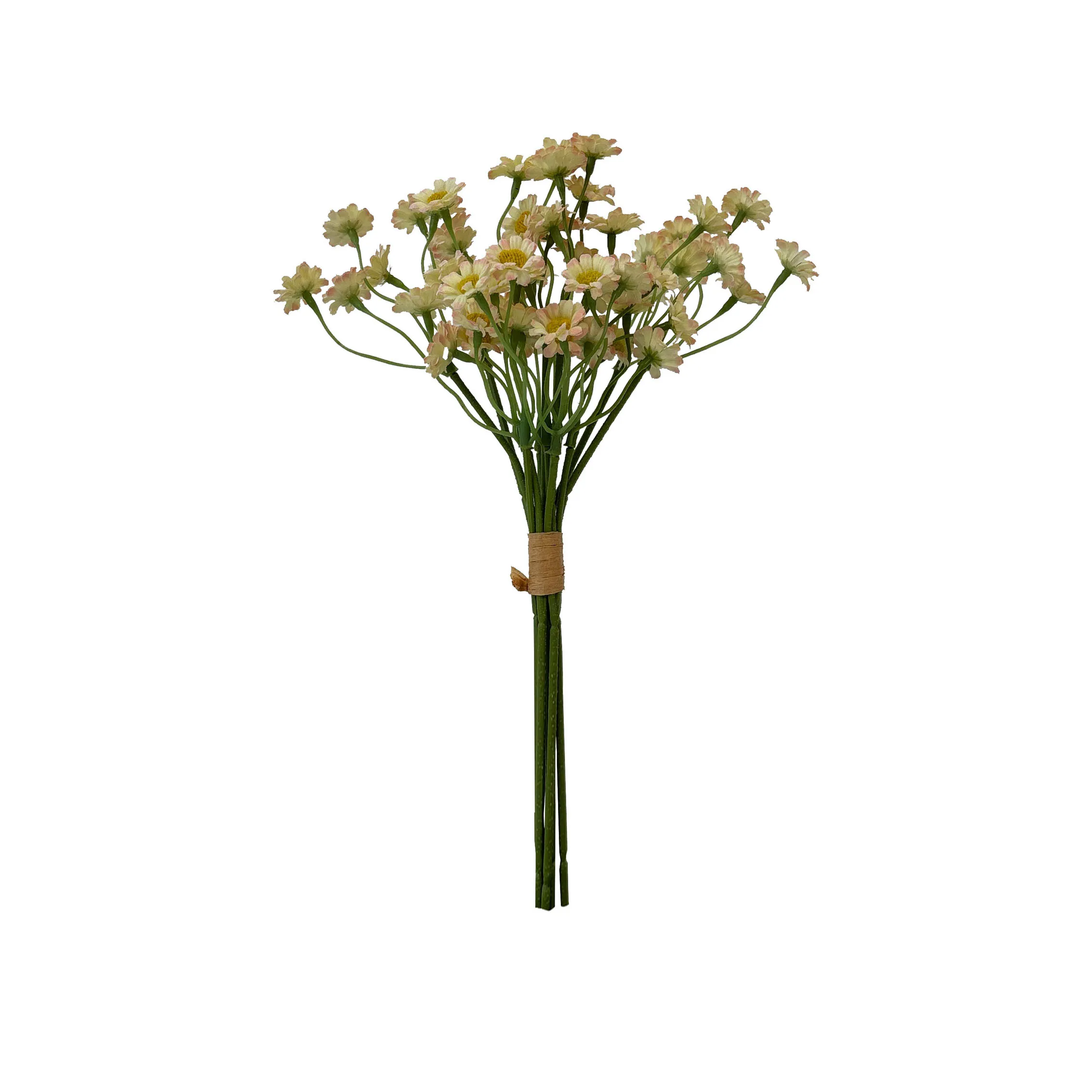 Take a fasciculum chamamile
