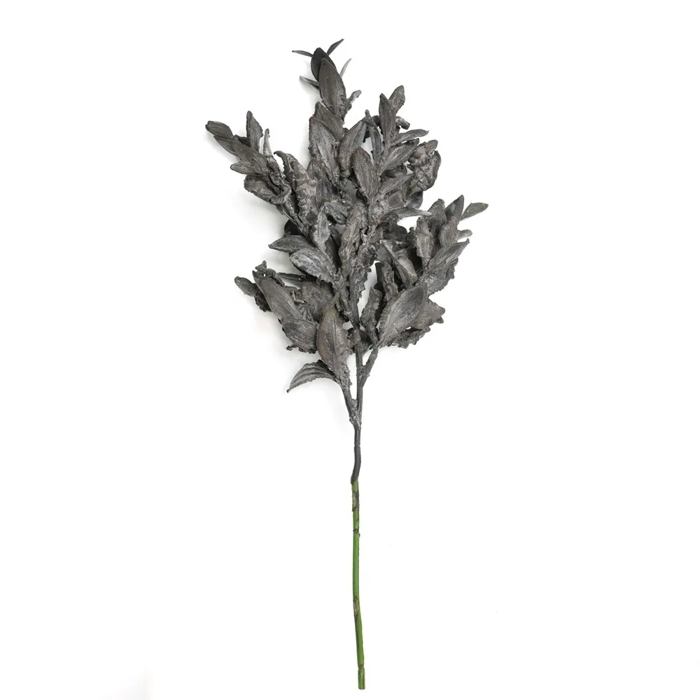 Short-ramosis yuanbao folium