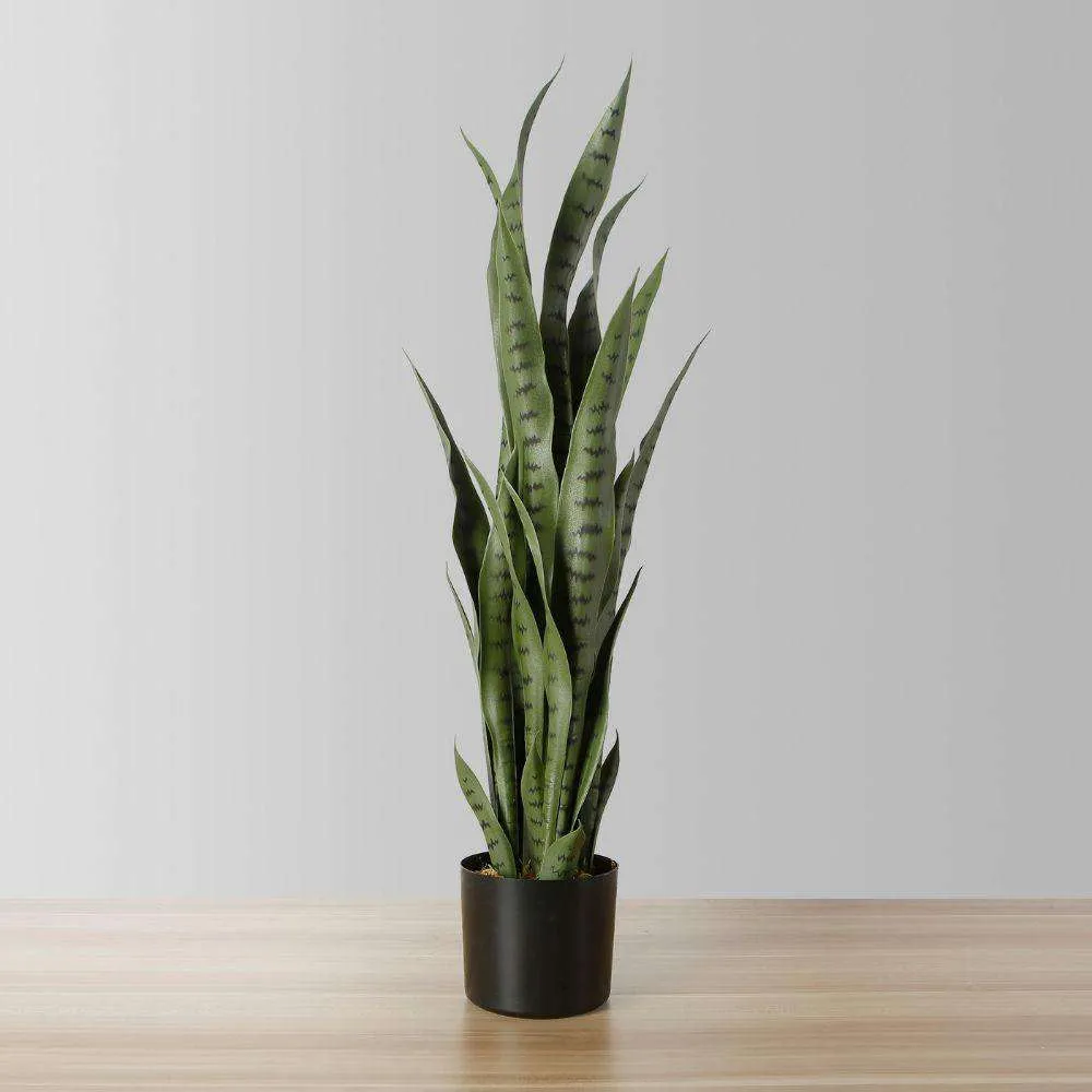 Artificialis serpens Sansevieria viridi potted plant