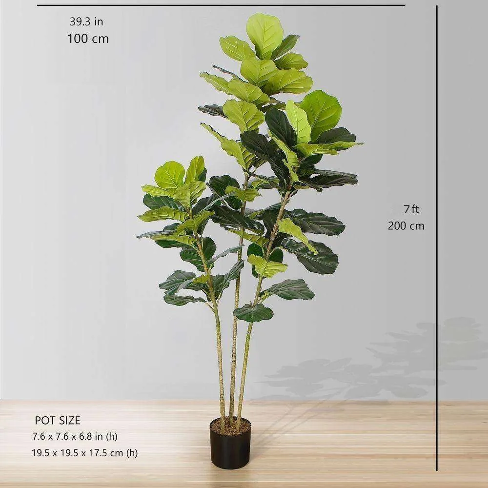 Lyrata artificialis fiddle folium potted plant (multa magnitudinum)