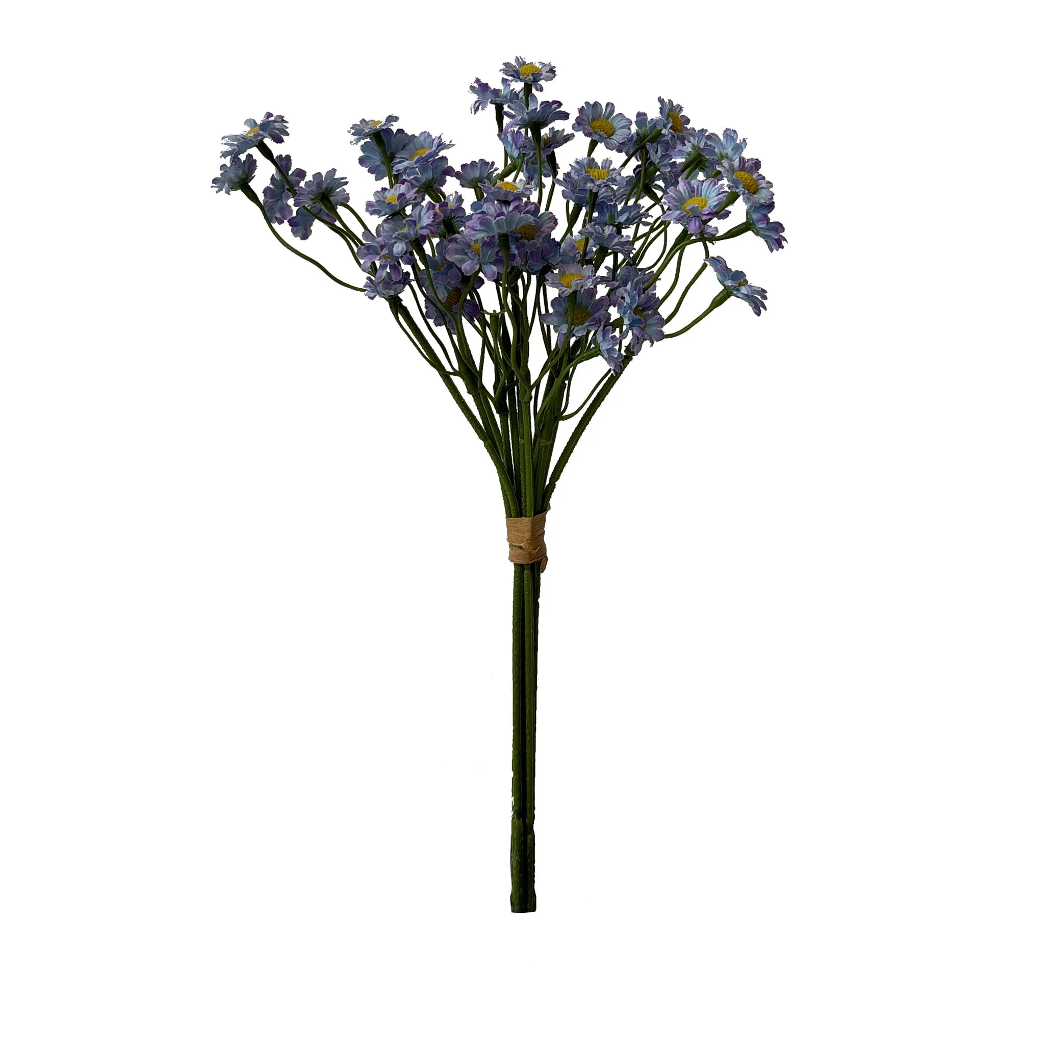 Take a fasciculum chamamile