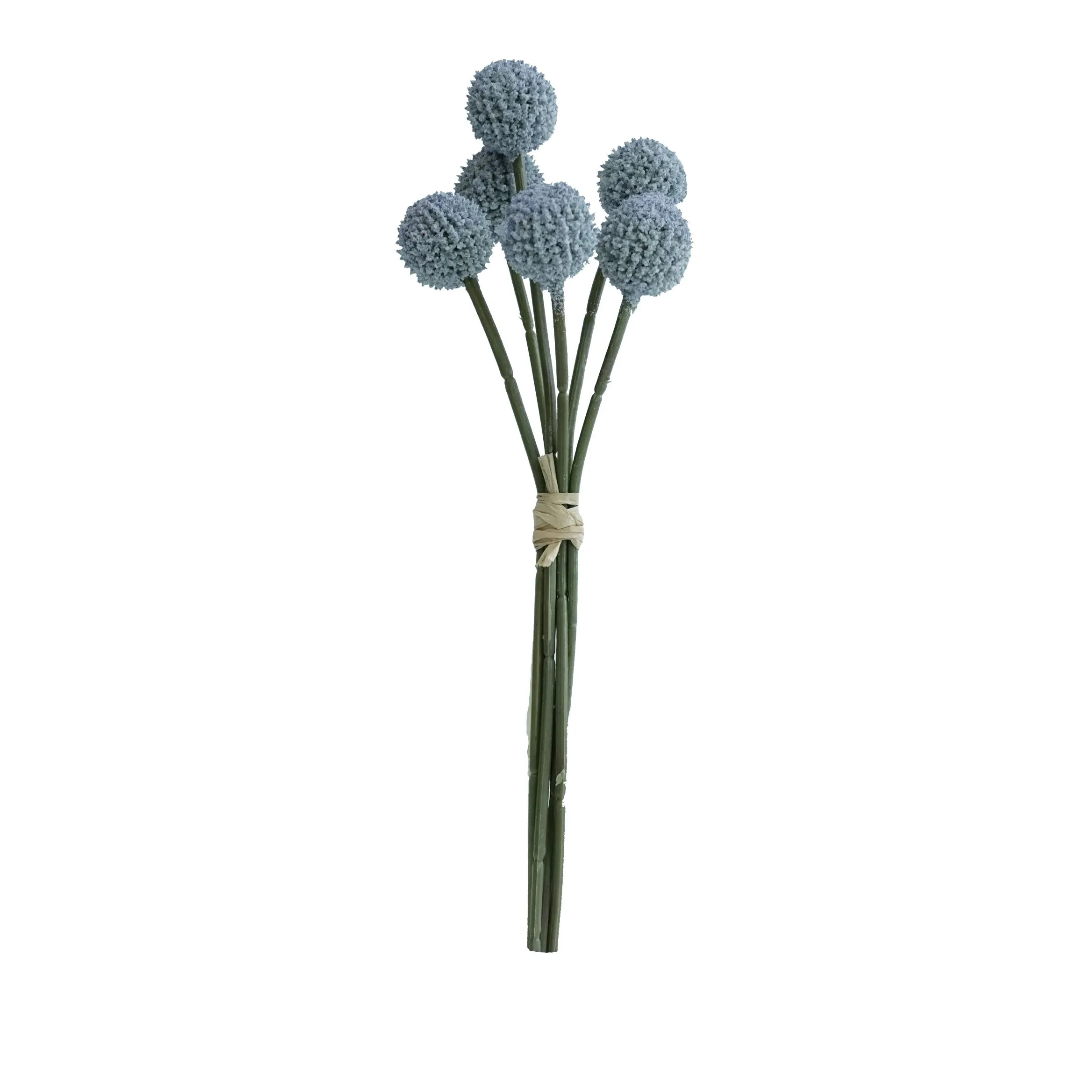 Fasciculus aurea balls