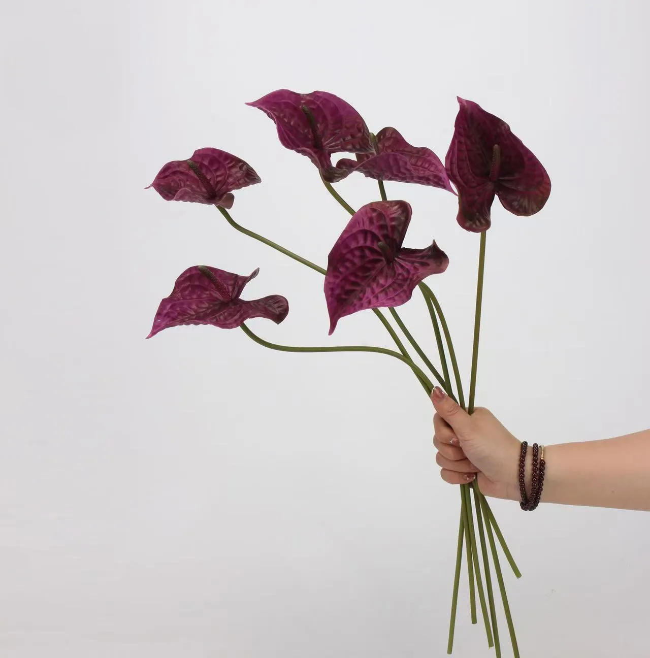 anthurium palmam