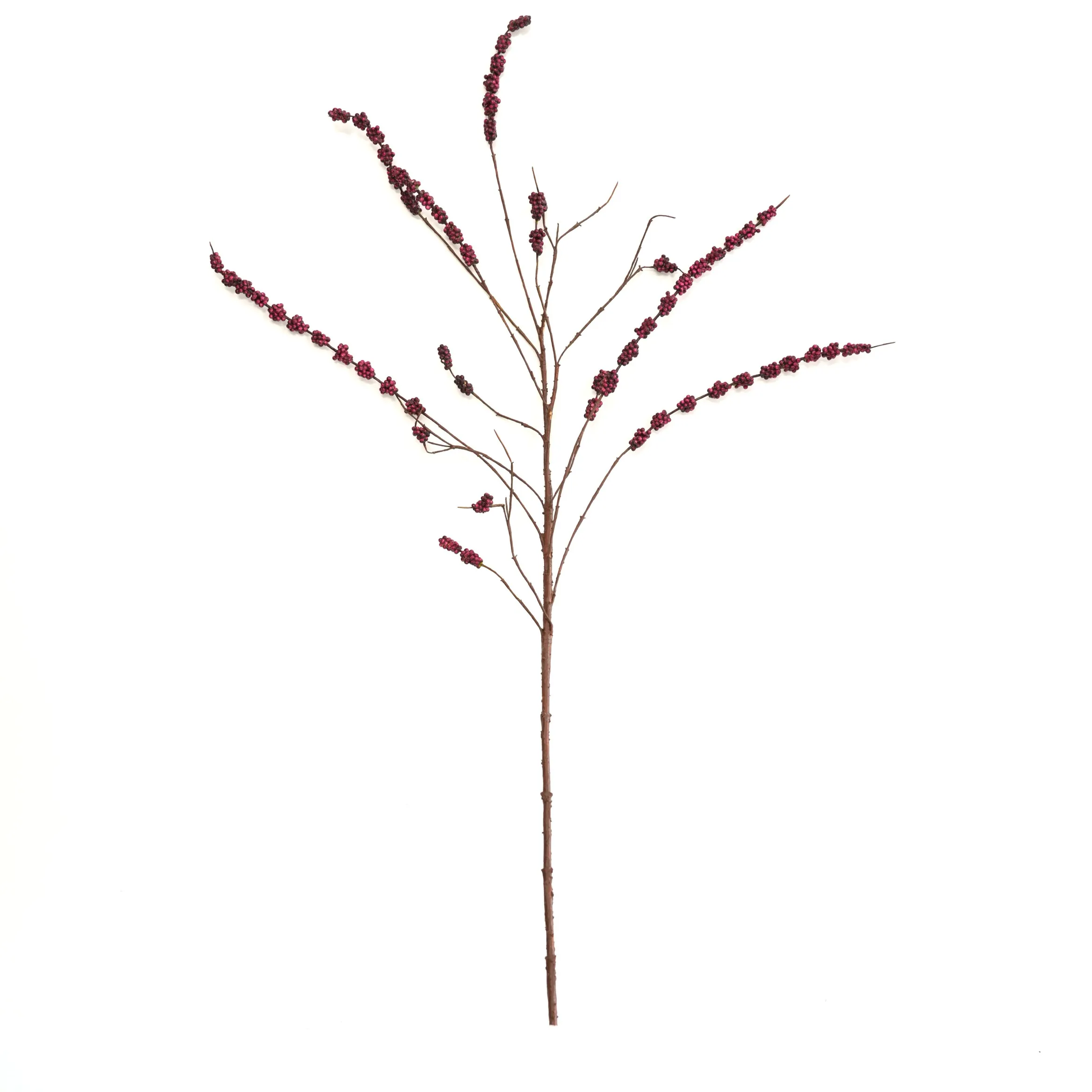 High-florentes moro fructus