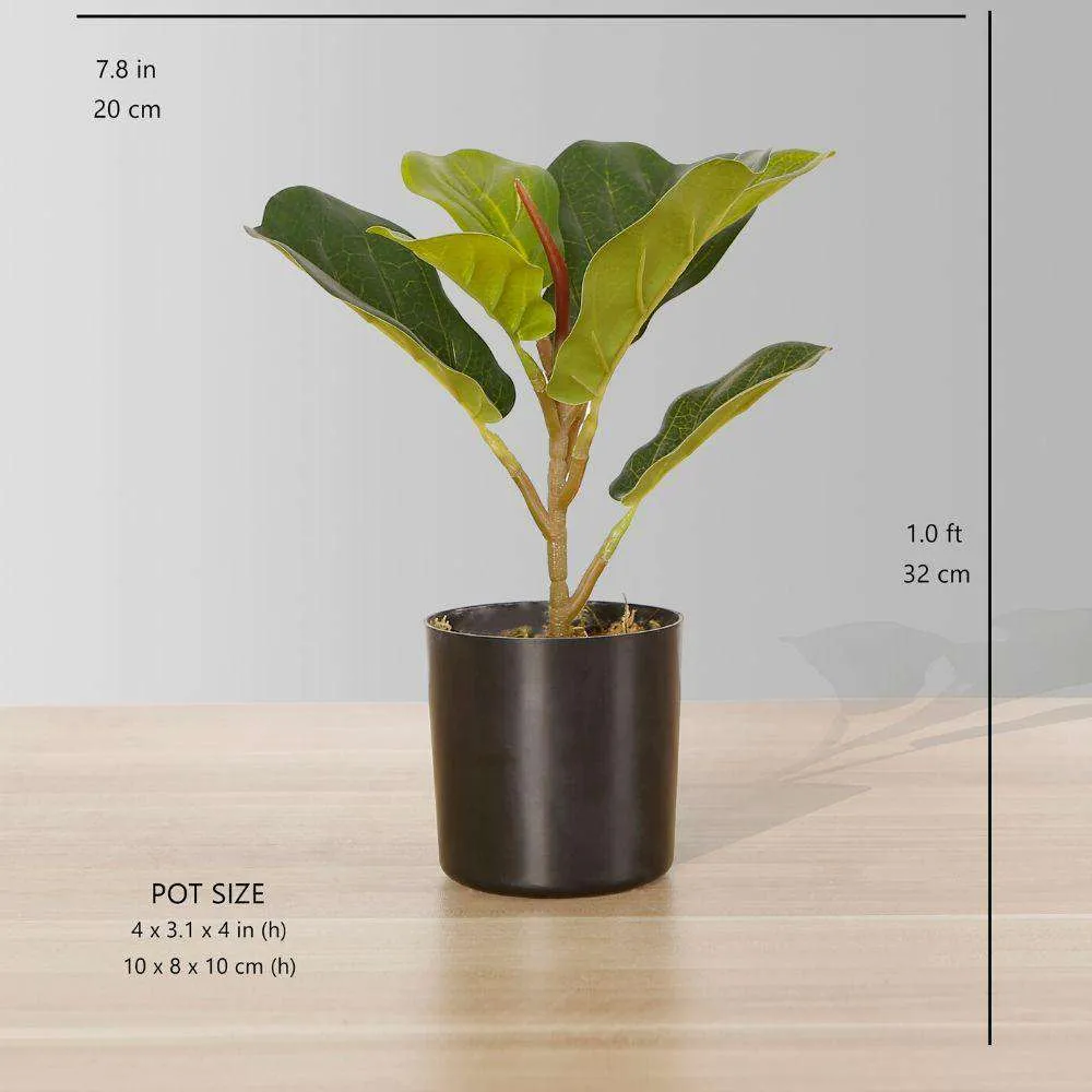 Dives artificialis fiddle folium potted plant (multa magnitudine)