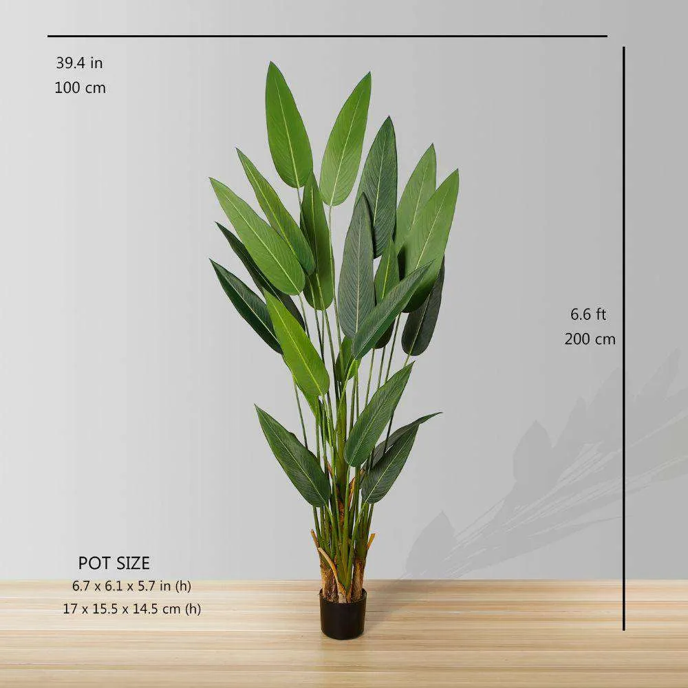 Artificialis canna potted plant (multa moles)