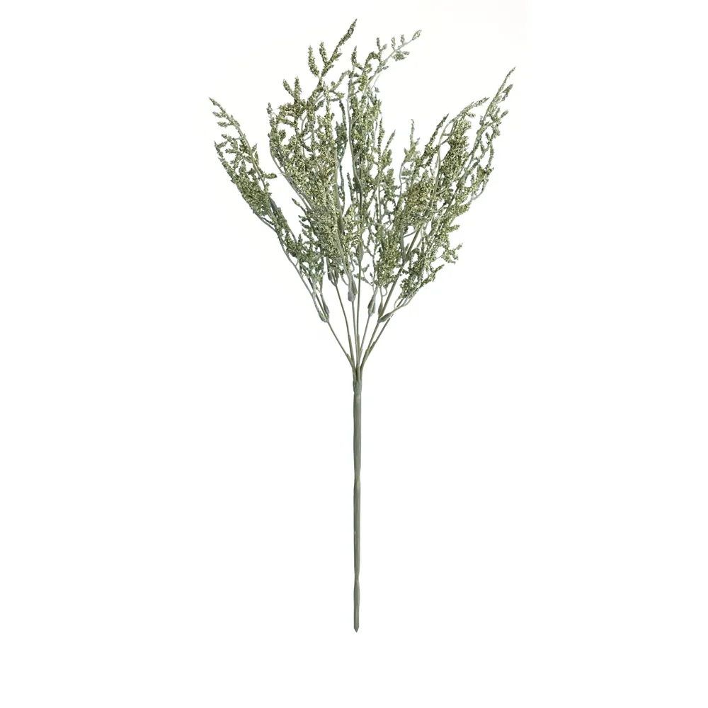 posuit fasciculum amatoris folia eam