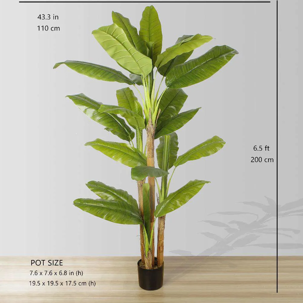 Anna artificialis Musa arbore potted plant