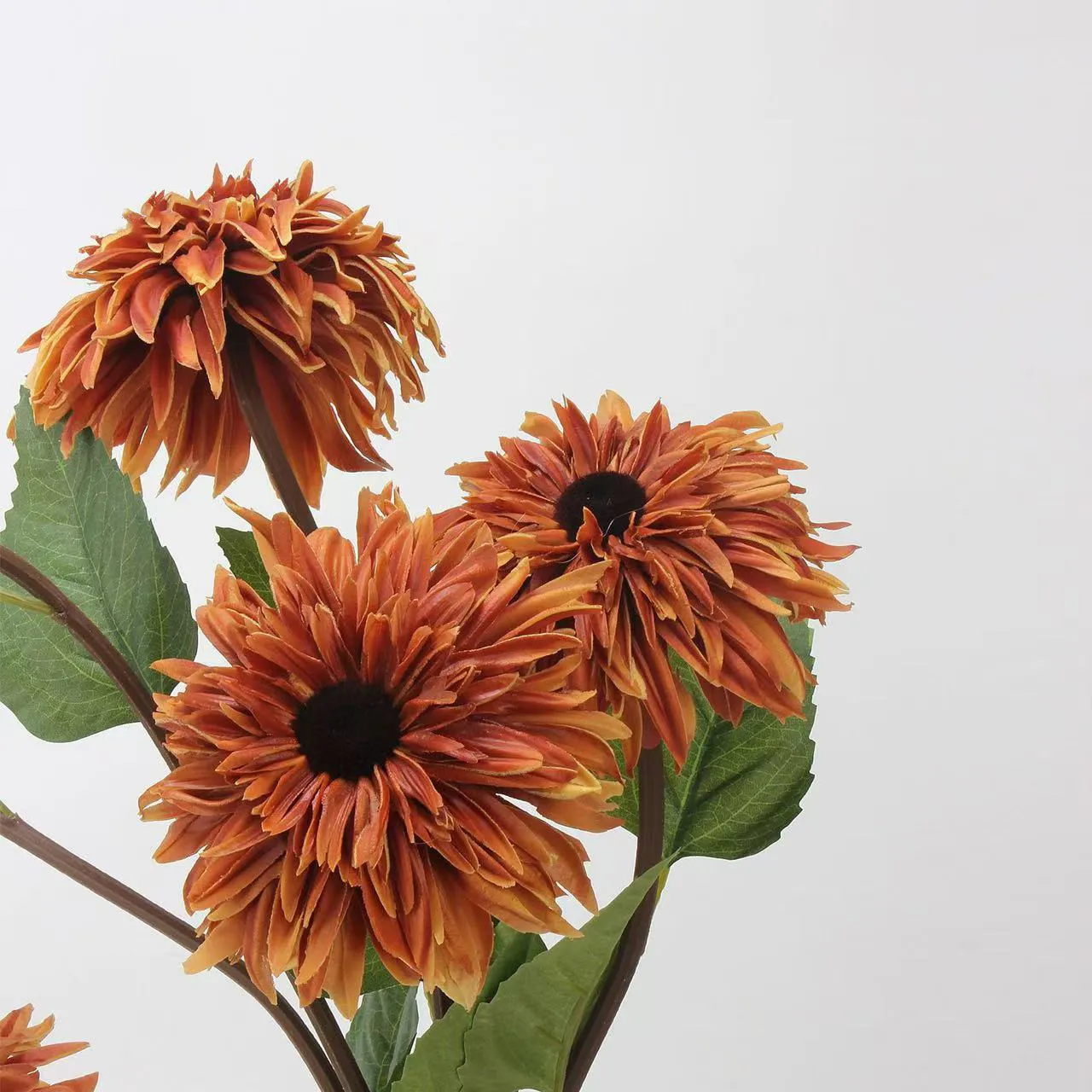 Oleum pictura Sunflowers