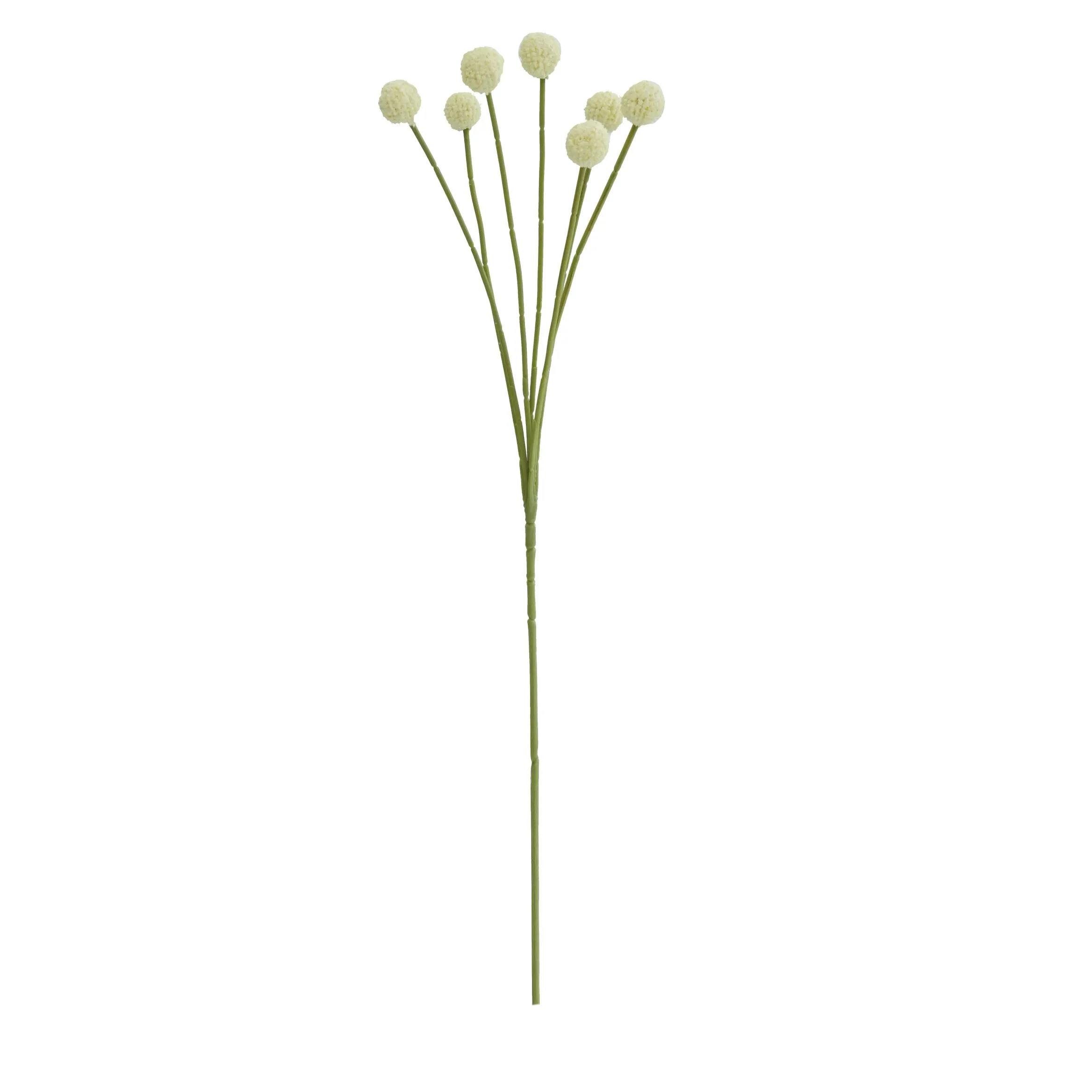 Unum aureum pila