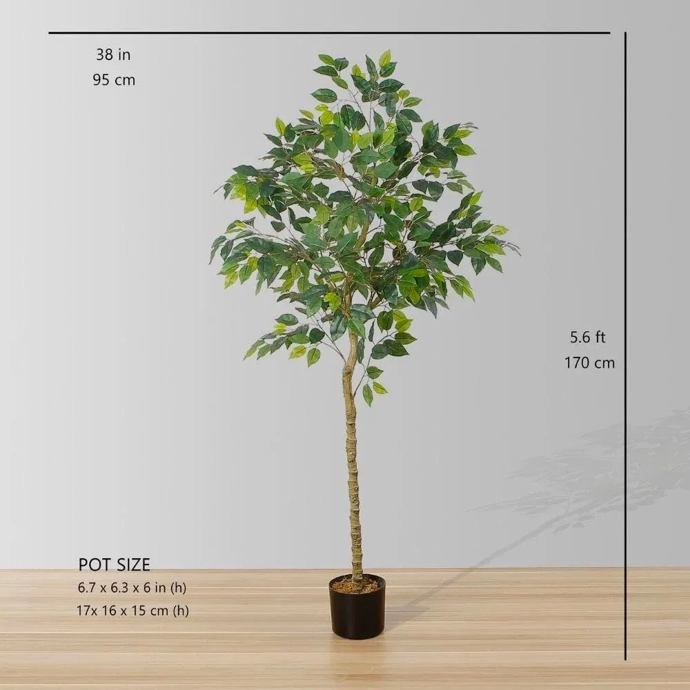 Artificialis Ficus lignum potted Plant (Multiple Sizes)