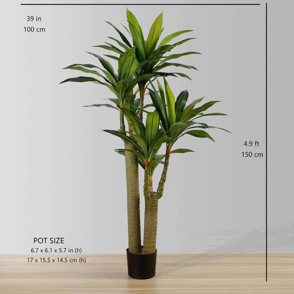 Artificialis Draecena lignum Potted Plant (Multiple Sizes)