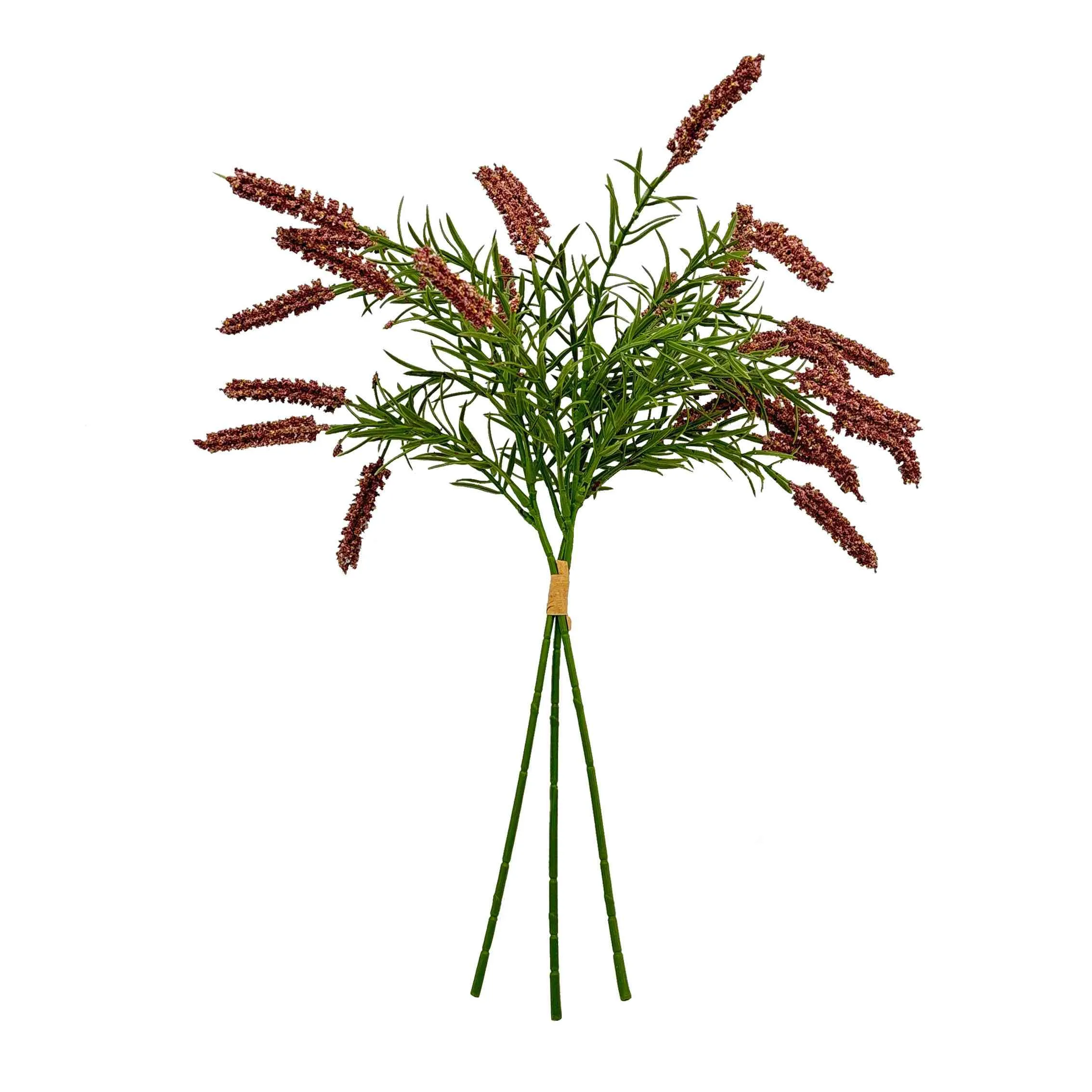 Fascis calamo flores