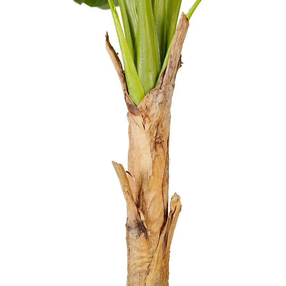 Suspendisse artificialis Musa lignum potted plant