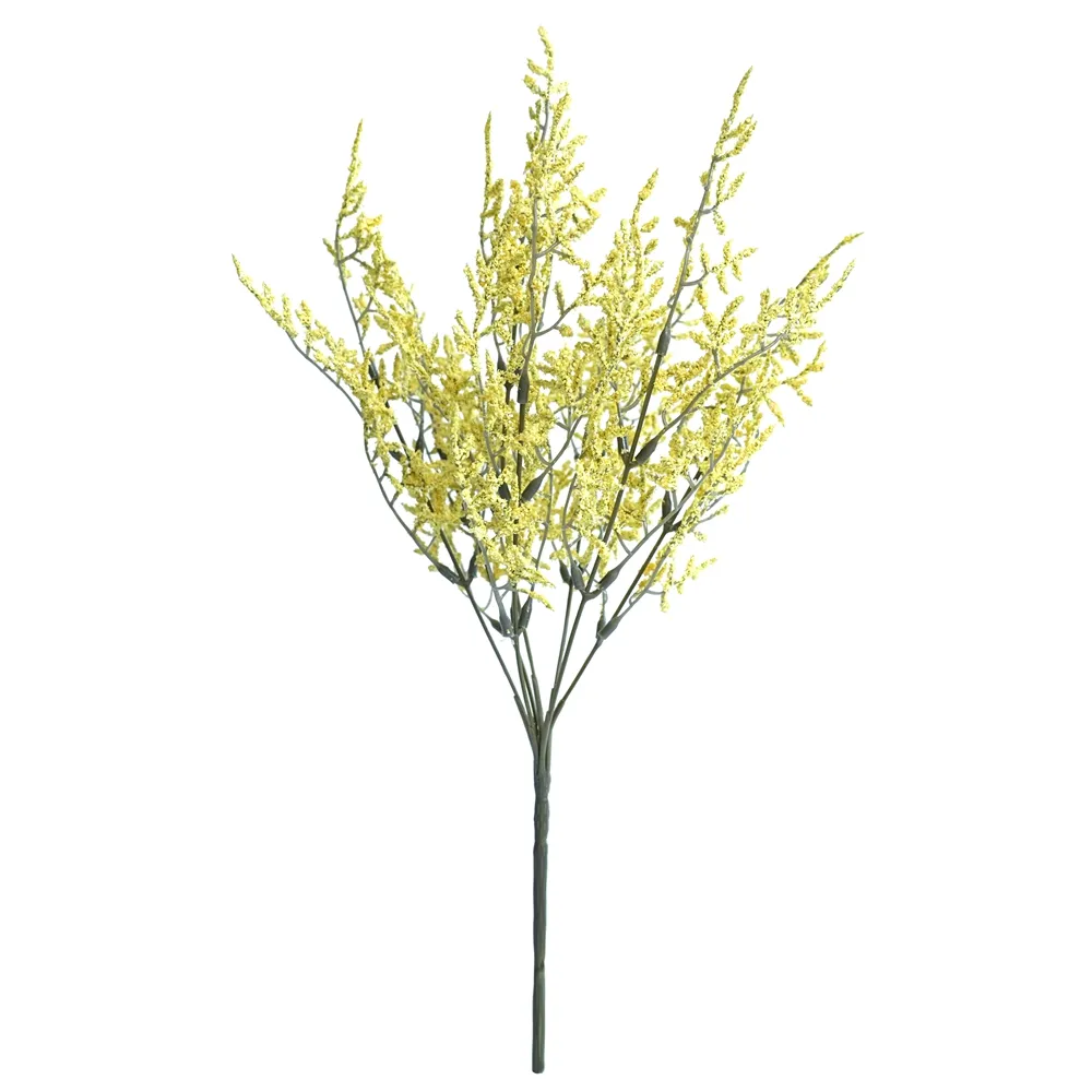 posuit fasciculum amatoris folia eam