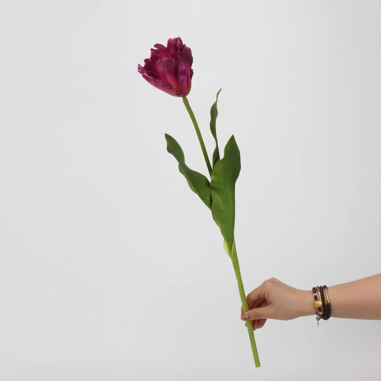 Monet Tulipaaaaaaaaaaaaaaaaaaaaa