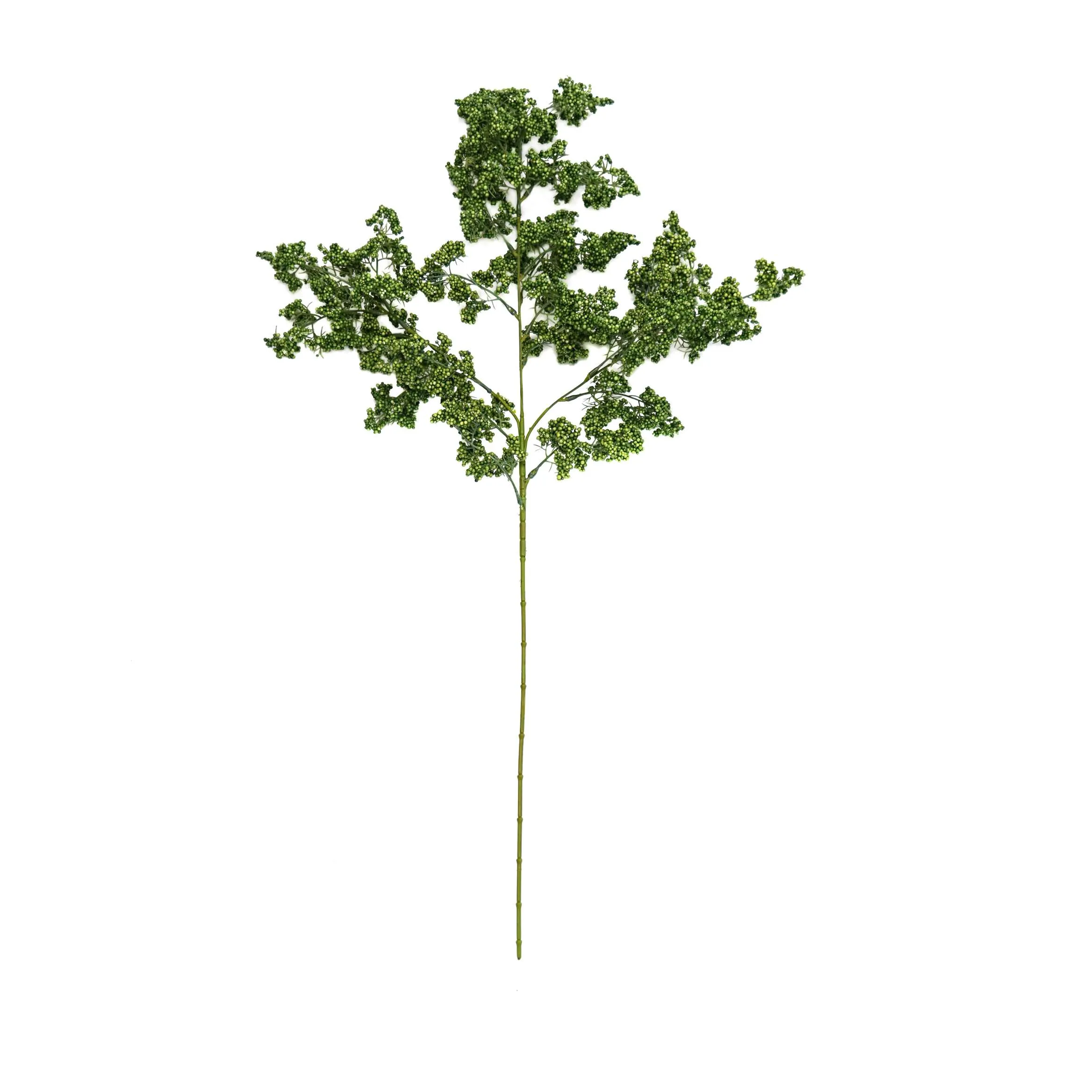 Unum hiems viridi fructum