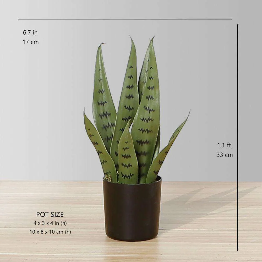 Artificialis serpens Sansevieria viridi potted plant