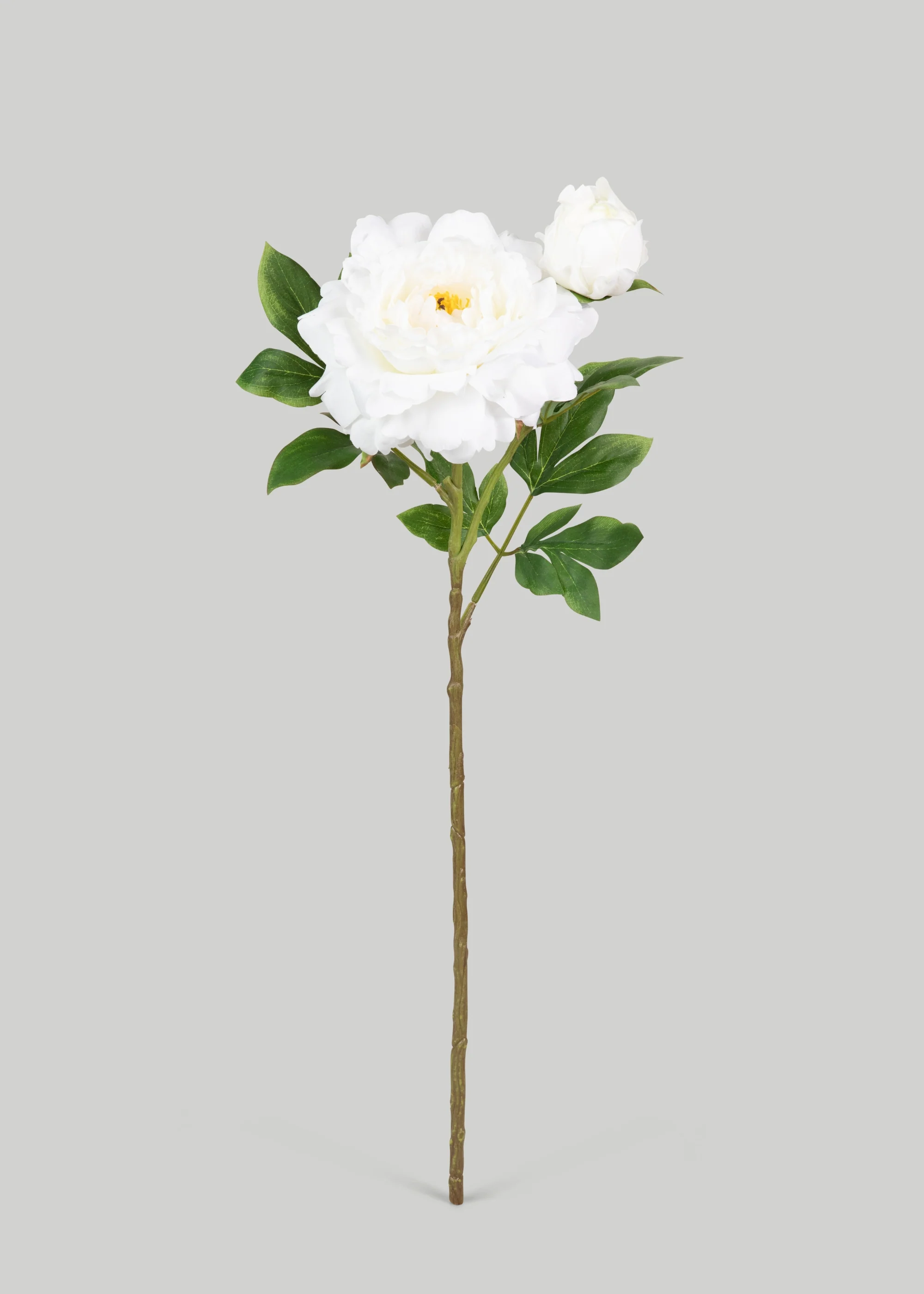Deluxe AGLOOHOTIS fake flos