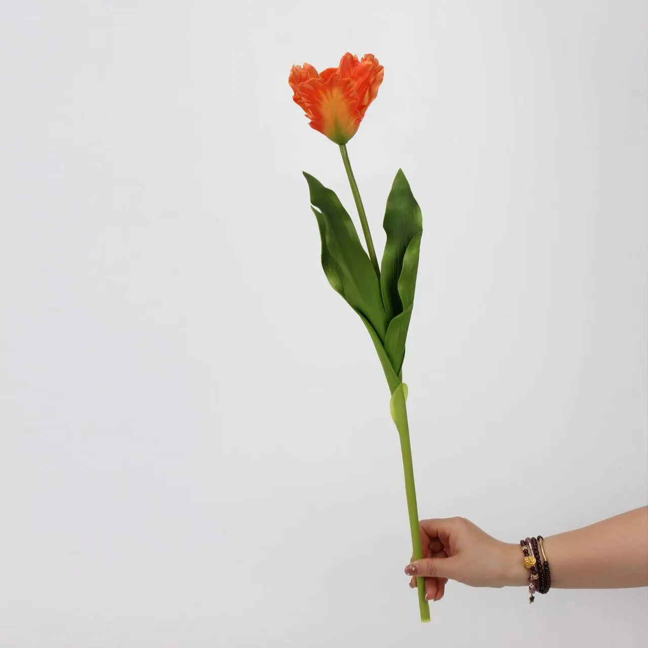 Monet Tulipaaaaaaaaaaaaaaaaaaaaa