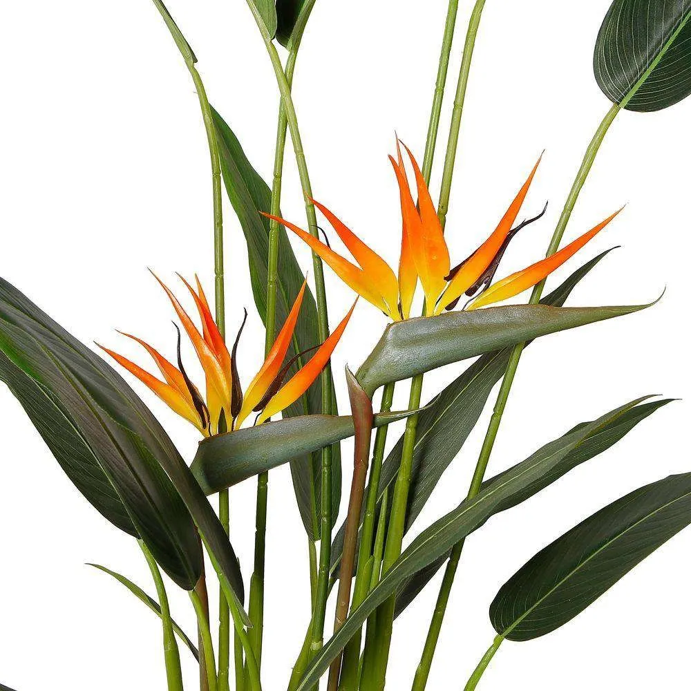 Suspendisse artificialis avis paradiso potted plant (multa moles)