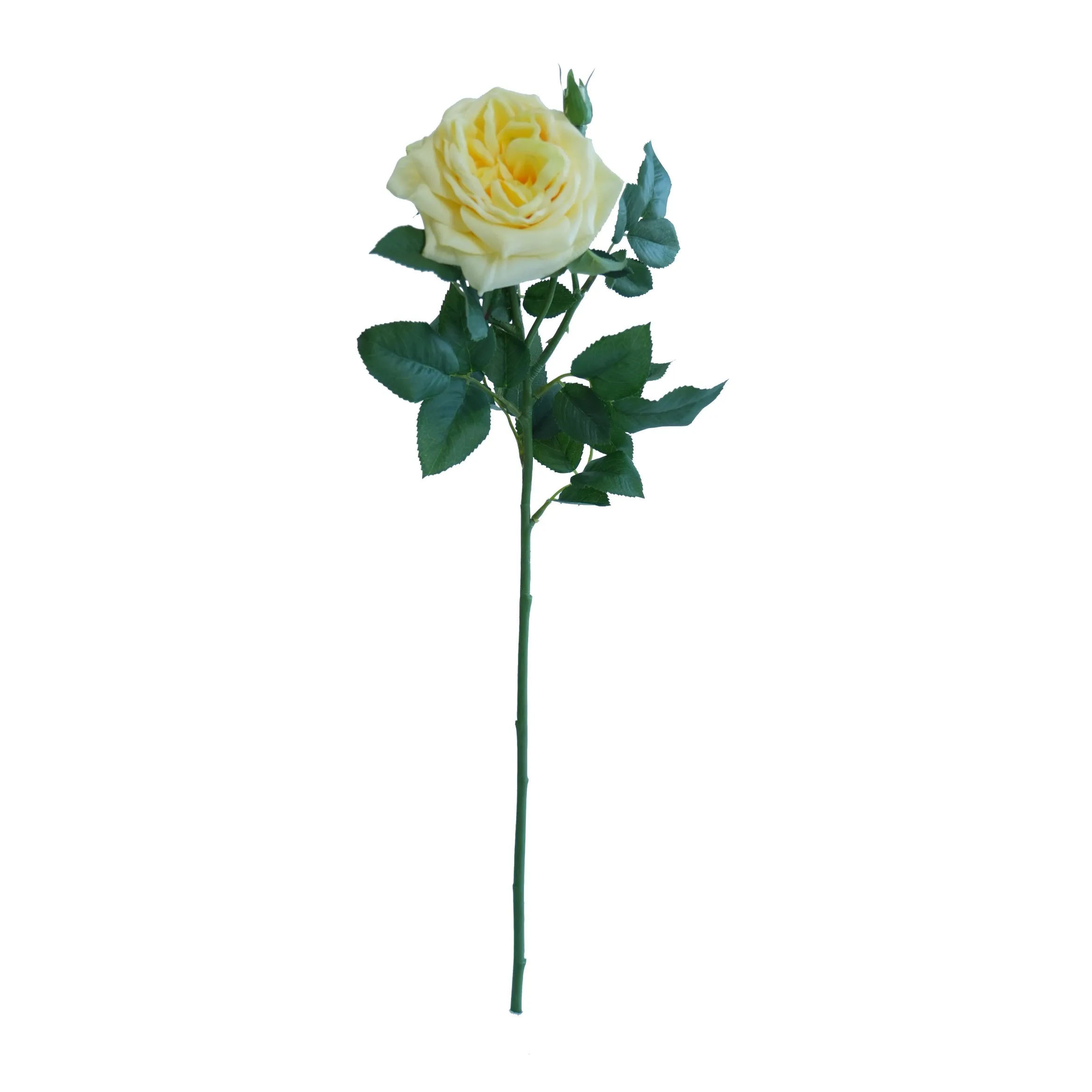 Una Lychee Rose