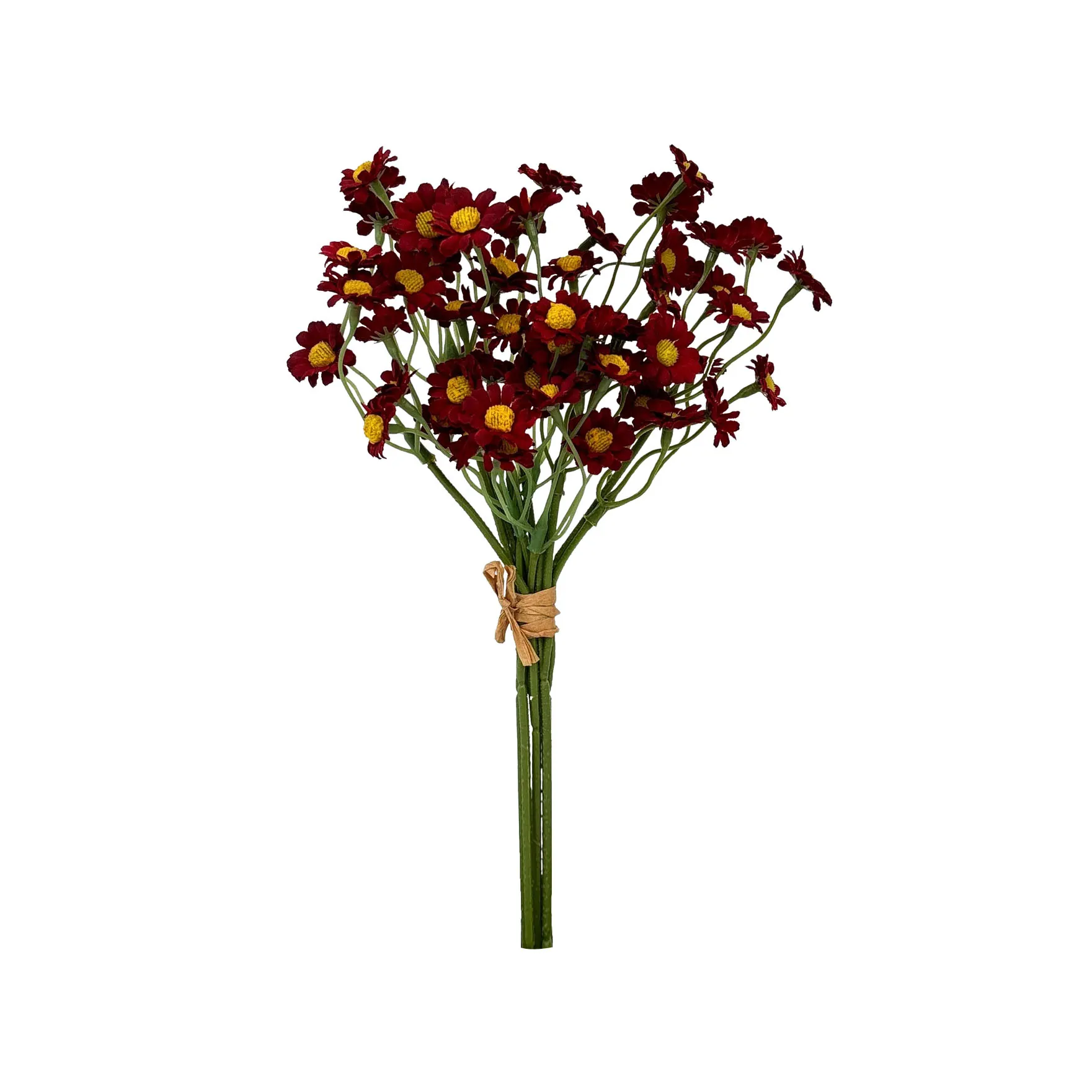 Take a fasciculum chamamile