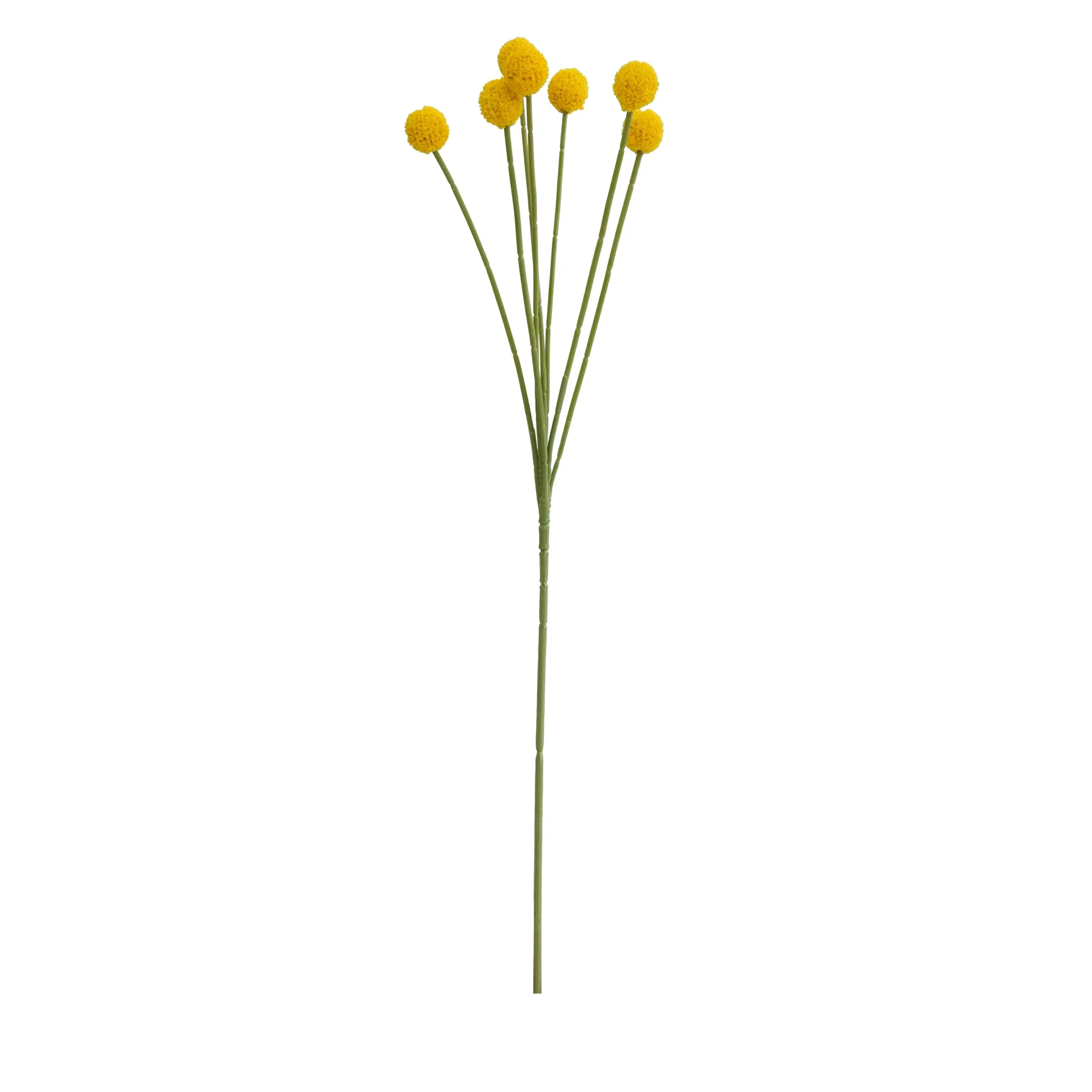 Unum aureum pila