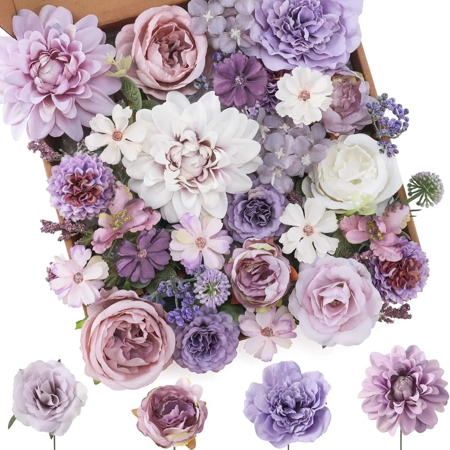 purpura