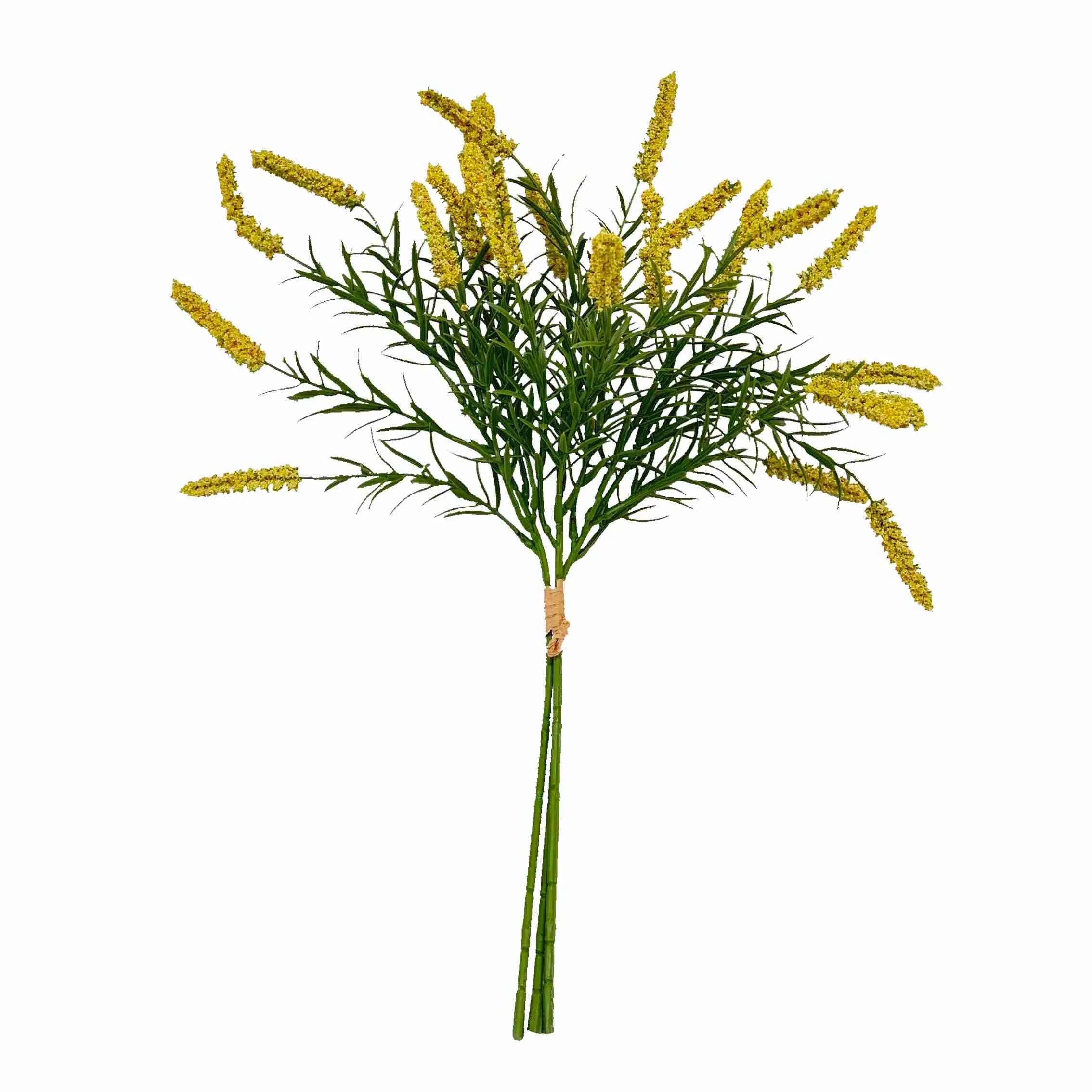 Fascis calamo flores