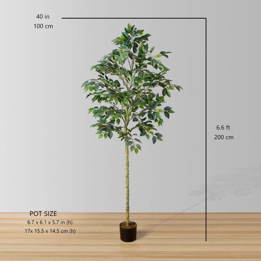 Artificialis Ficus lignum potted Plant (Multiple Sizes)