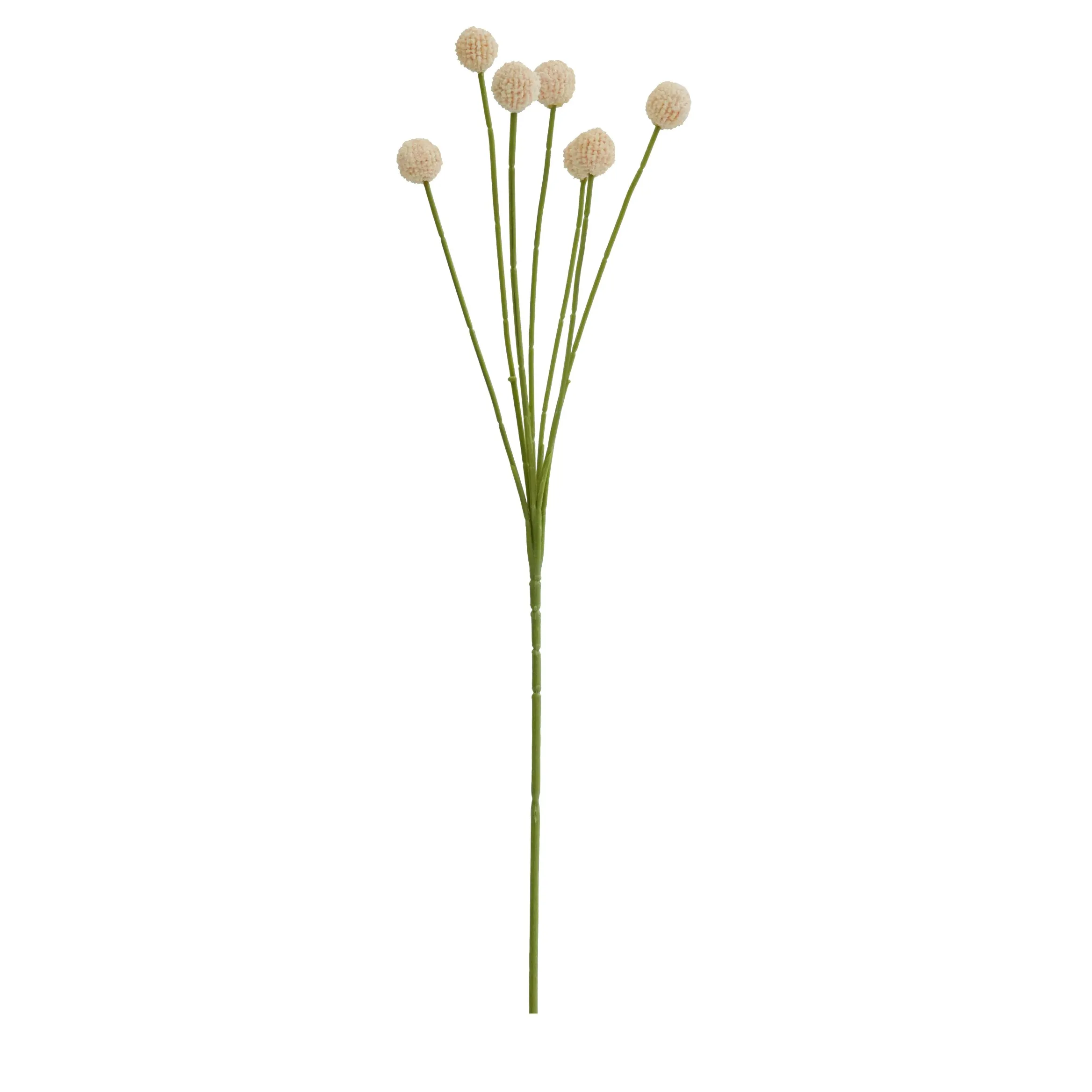 Unum aureum pila