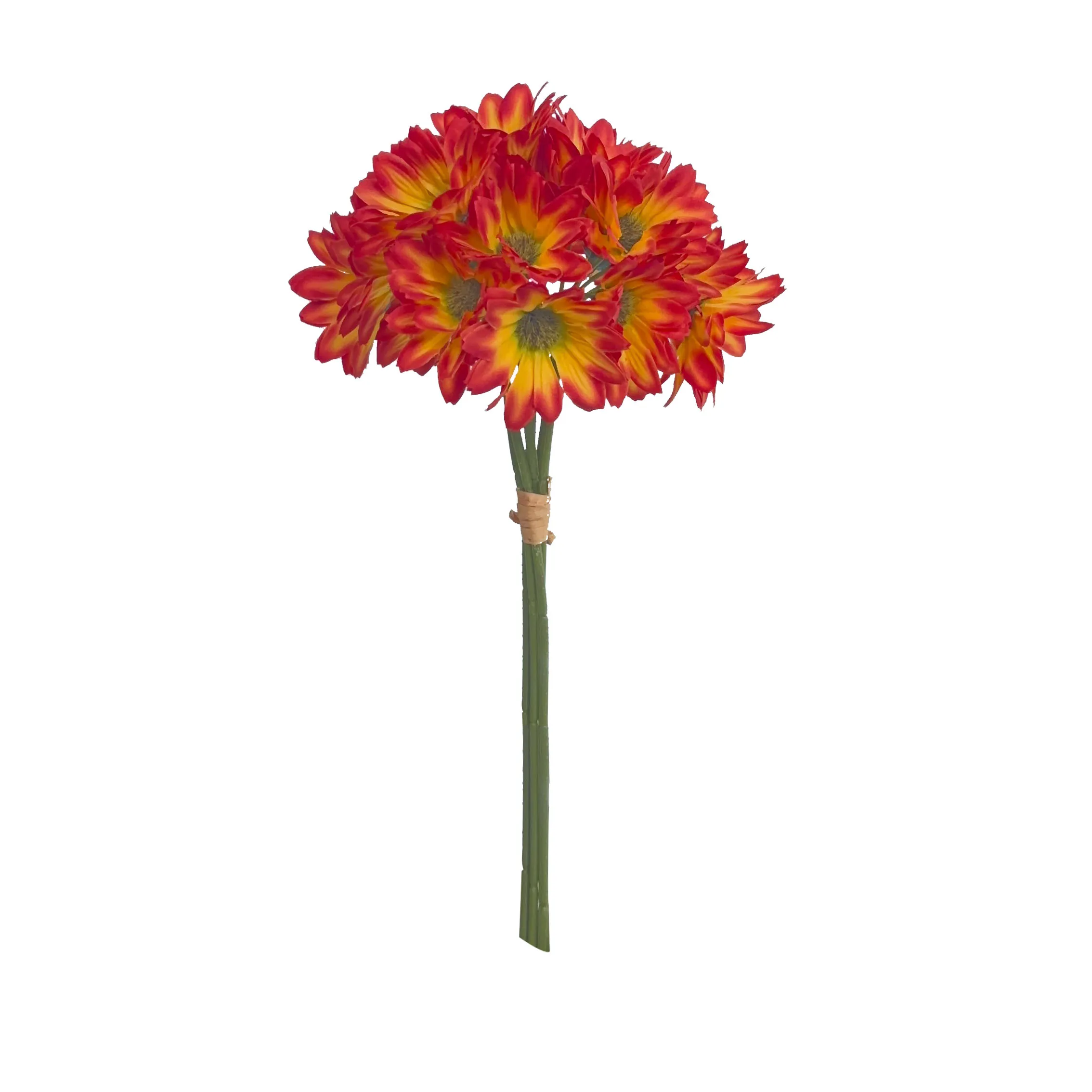 Take a fasciculum Sunflowers