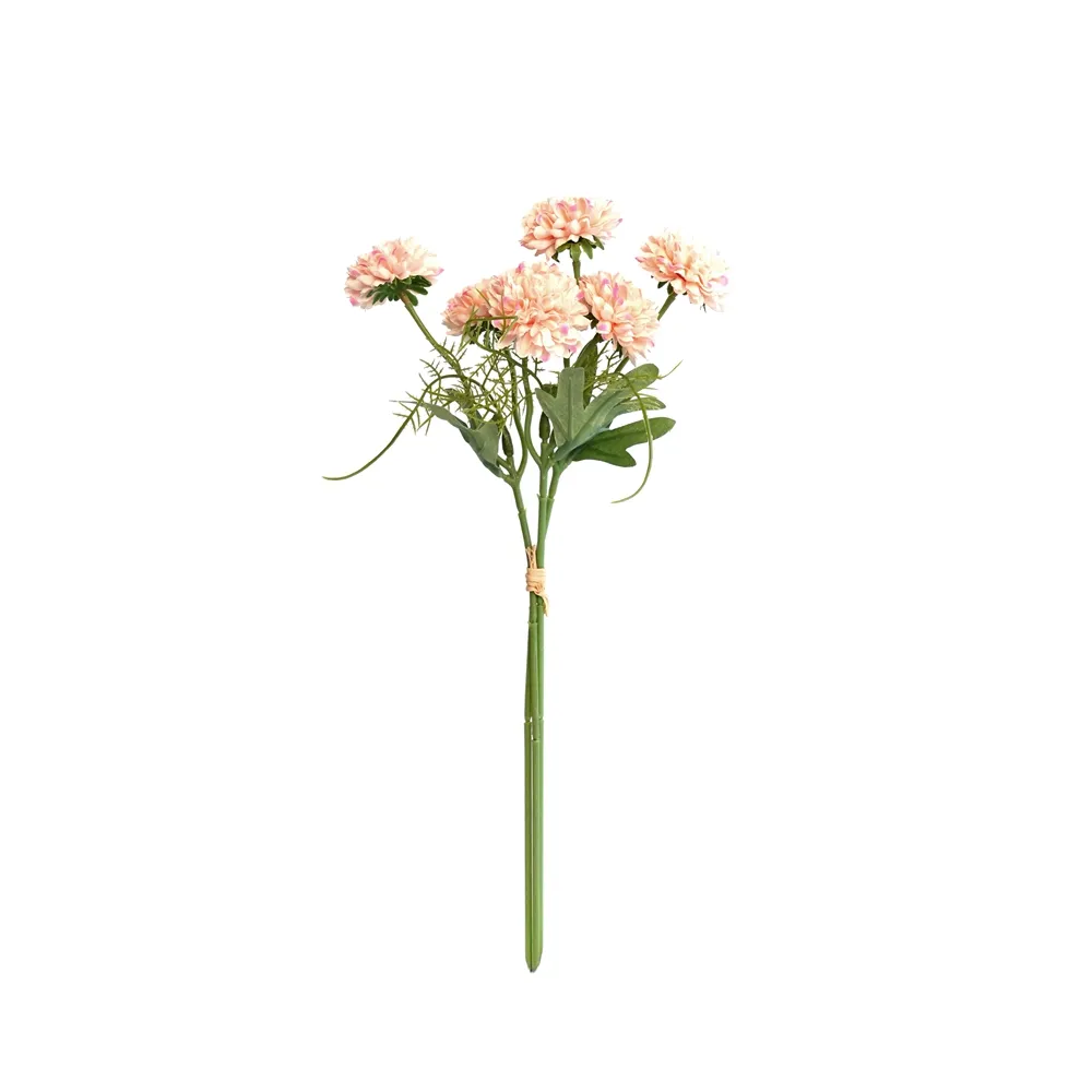 A fasciculum chrysanthemums