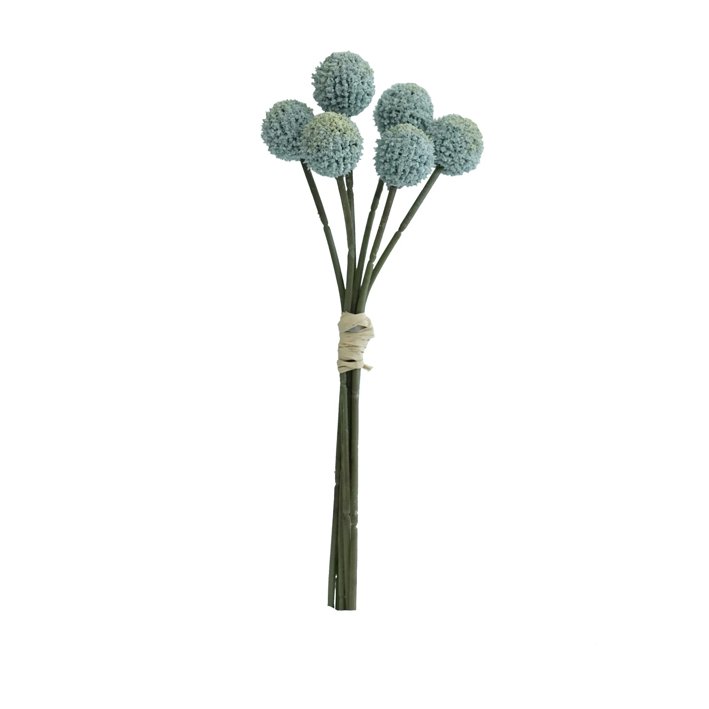 Fasciculus aurea balls