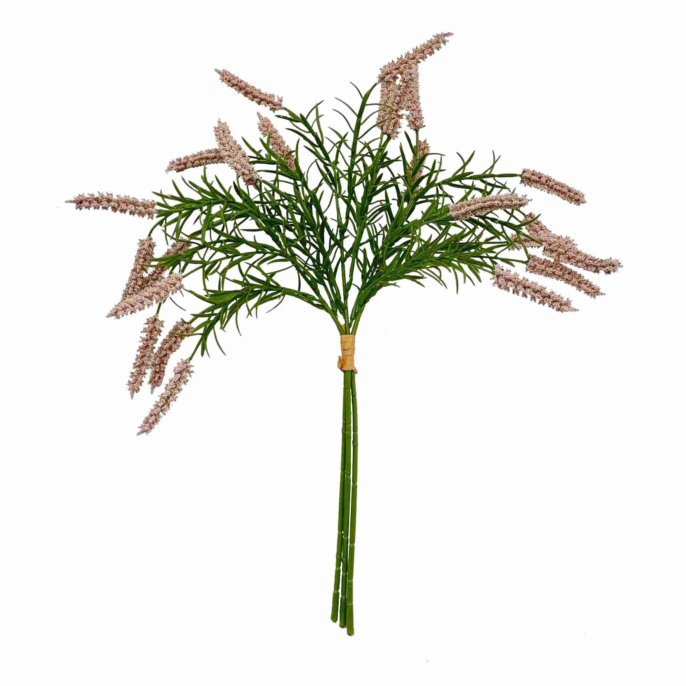 Fascis calamo flores