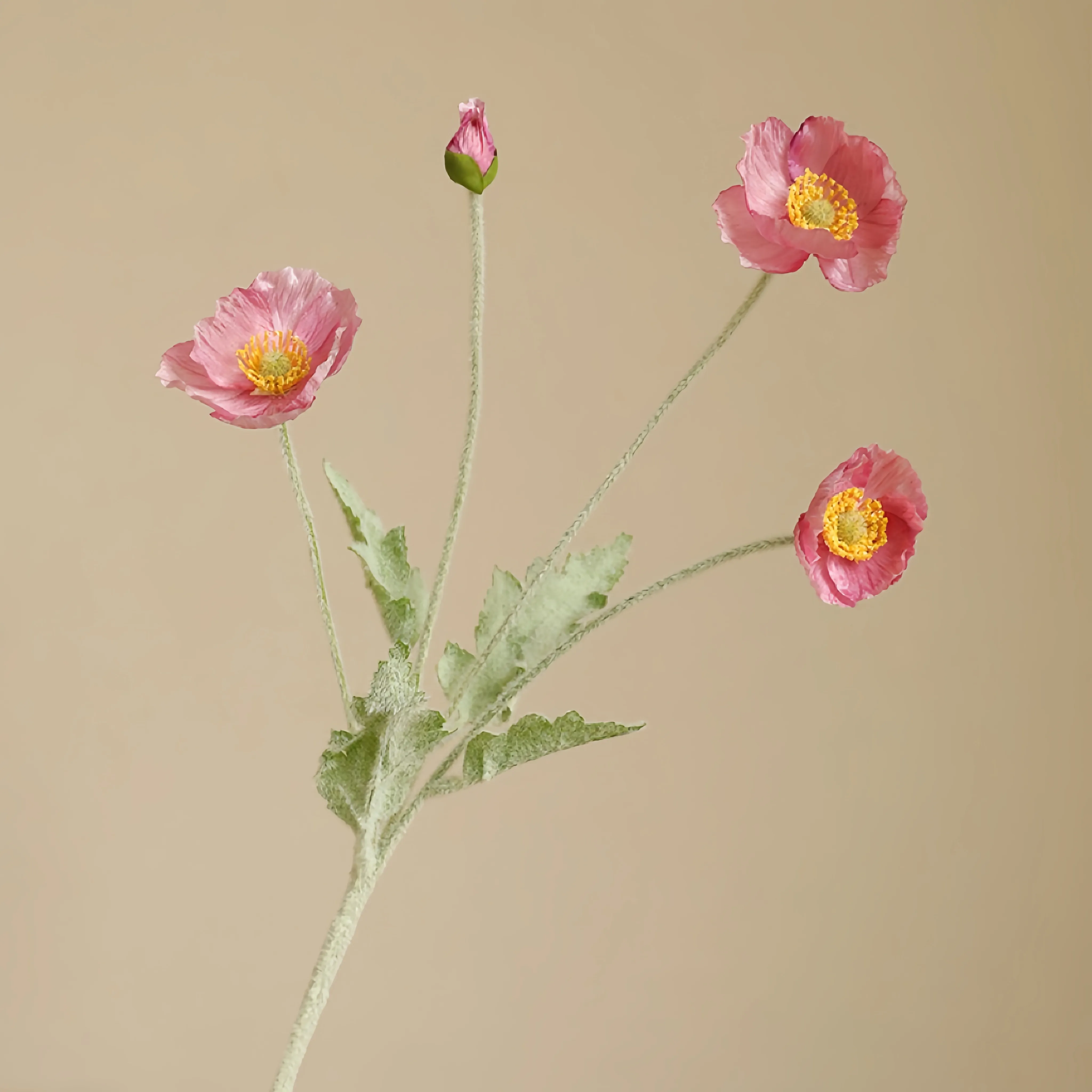 Faux Florida Poppy Ordinatio
