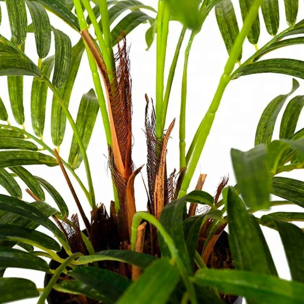 Hawaii artificialis palmam arbore potted plant
