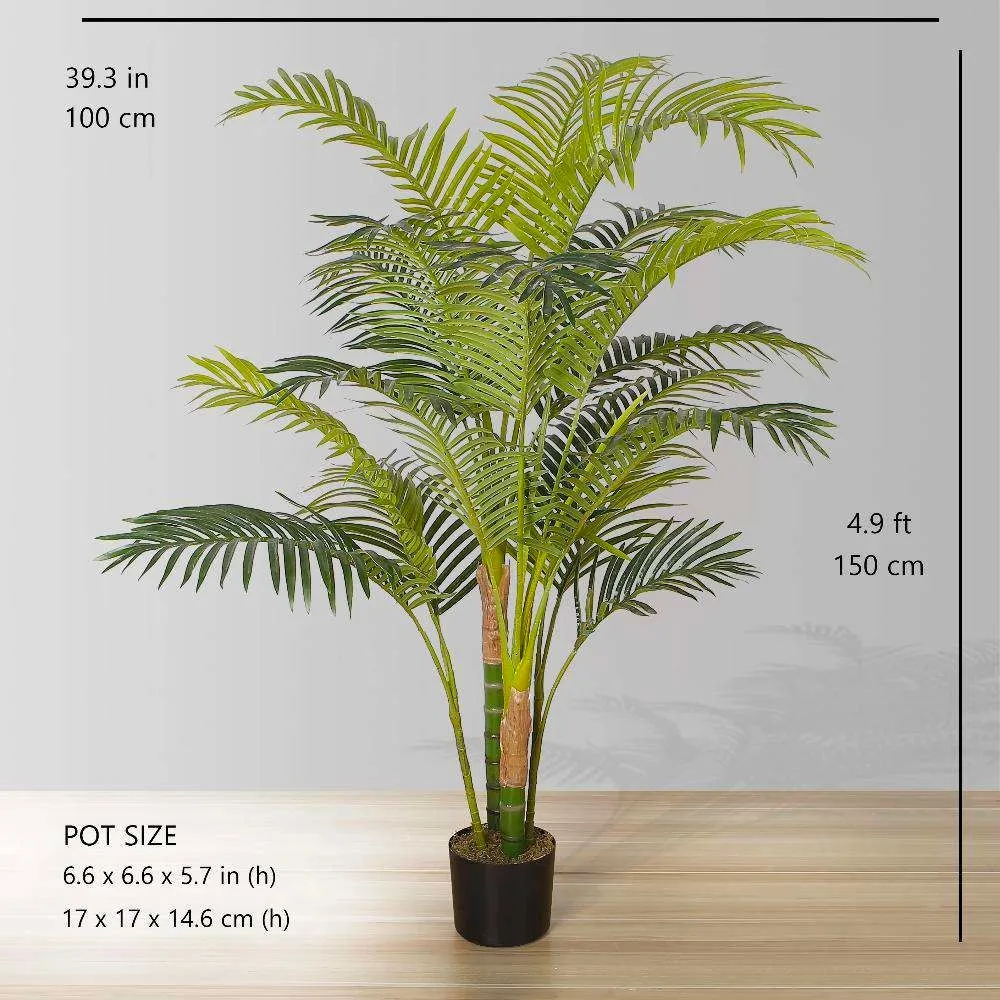 Hawaii artificialis palmam arbore potted plant