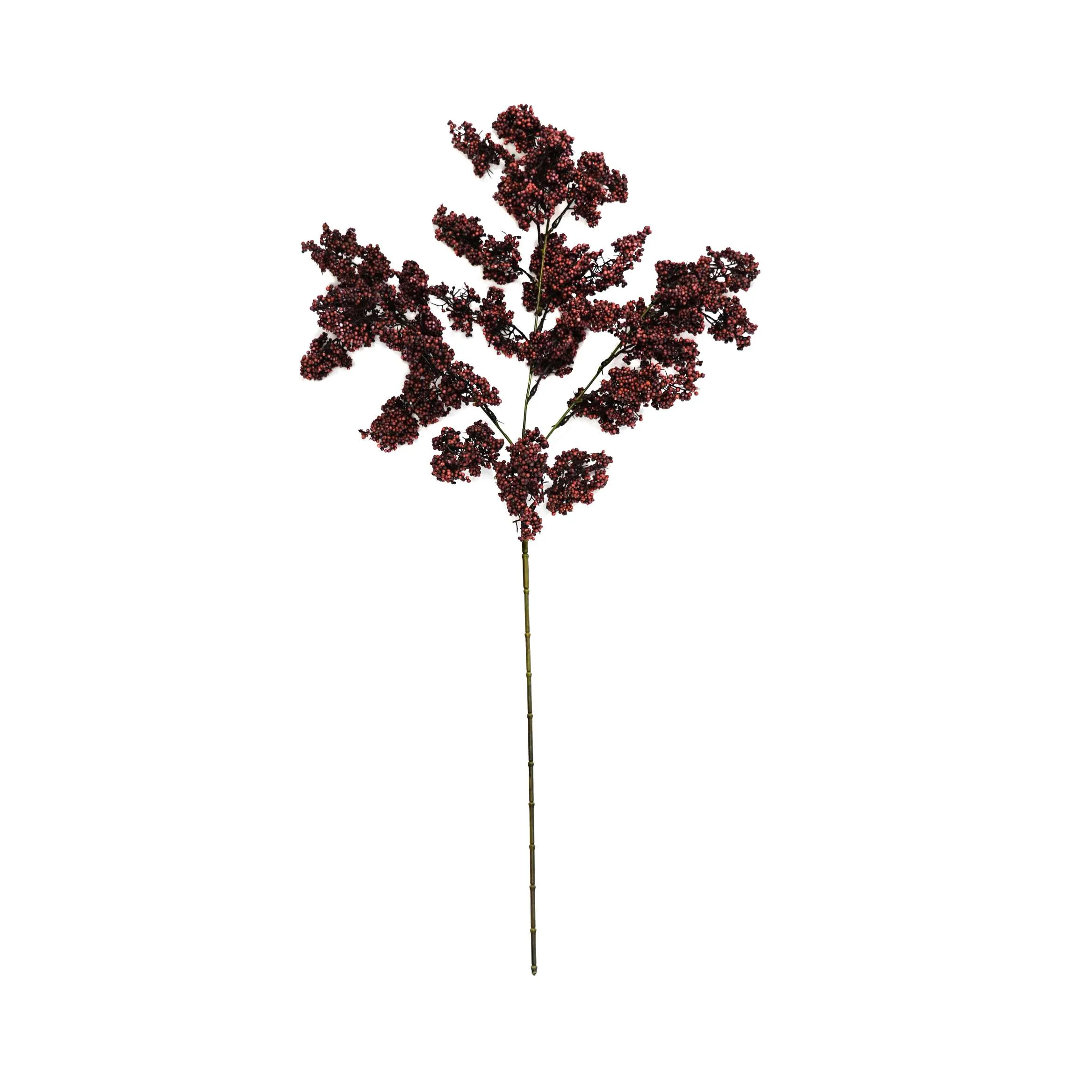 Unum hiems viridi fructum