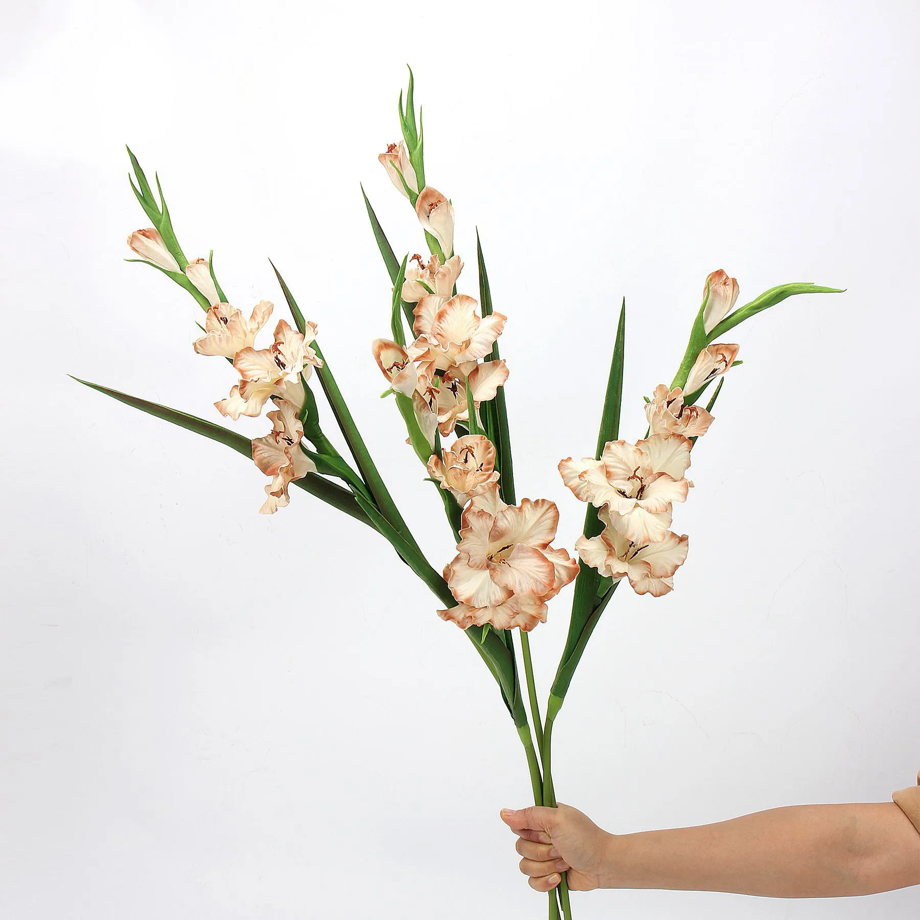 Unveiling - Quid simulation flores et Top Internet Celebrities uti in domos?